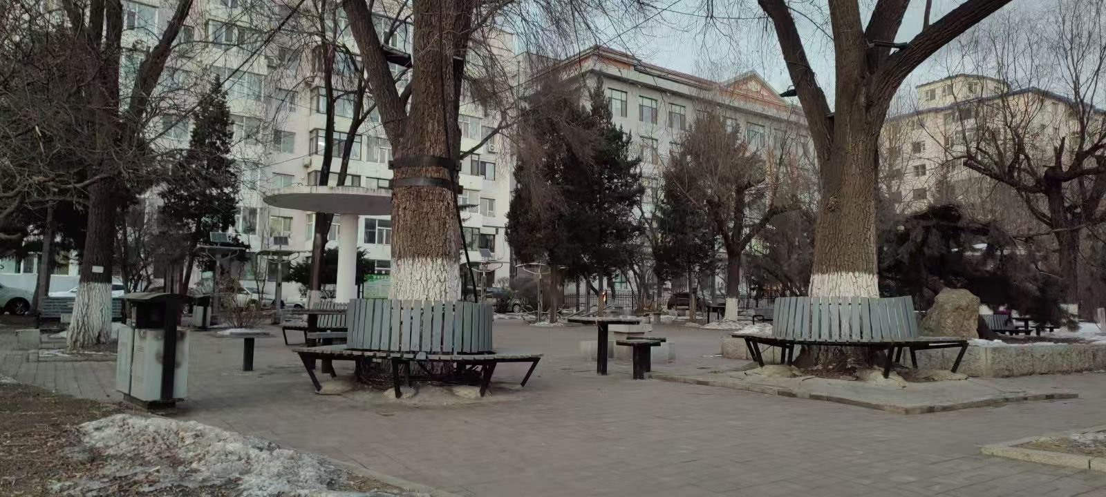 健康教育公园旅行图片 2
