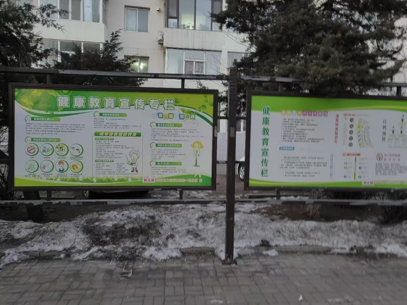 健康教育公园旅行图片 3