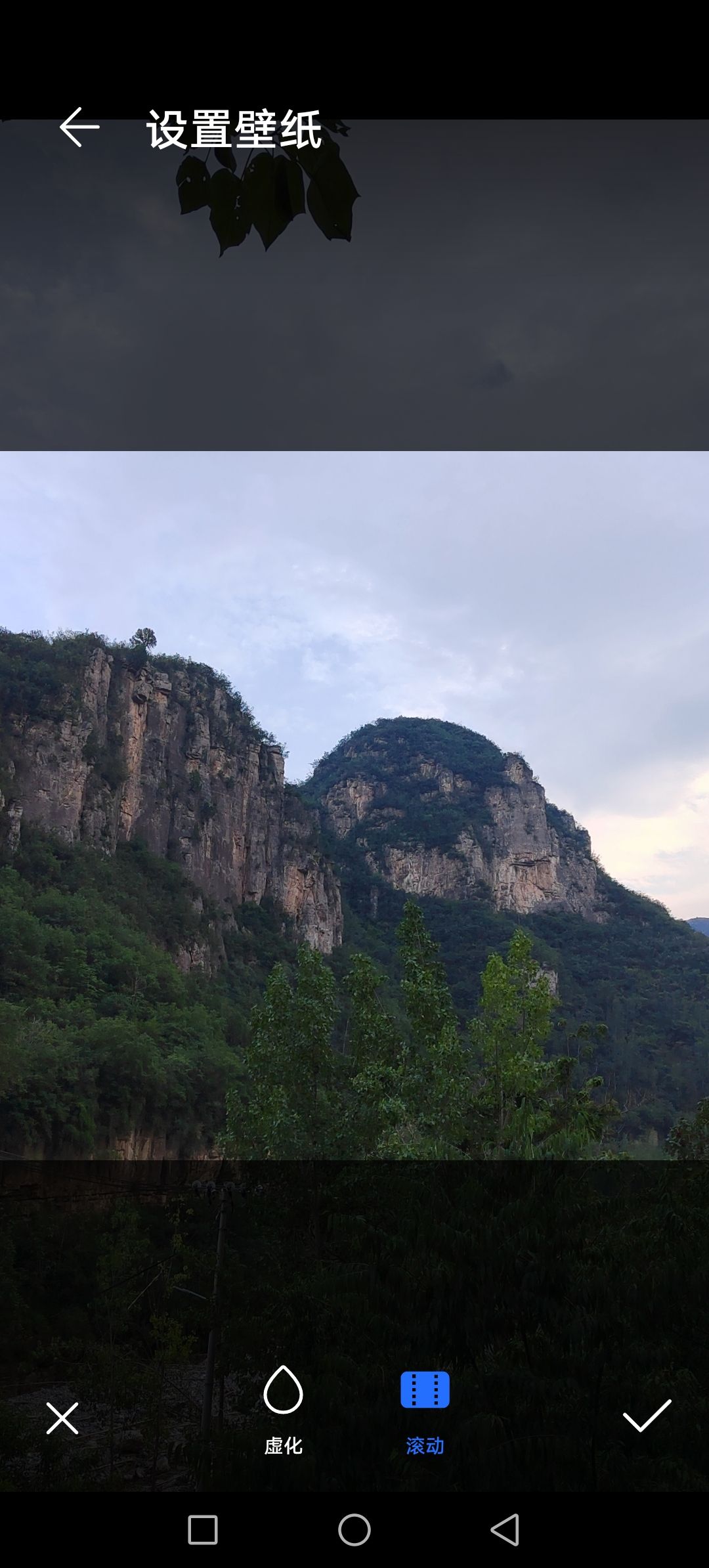 猿猴沟千年崖柏树风景区旅行图片 2