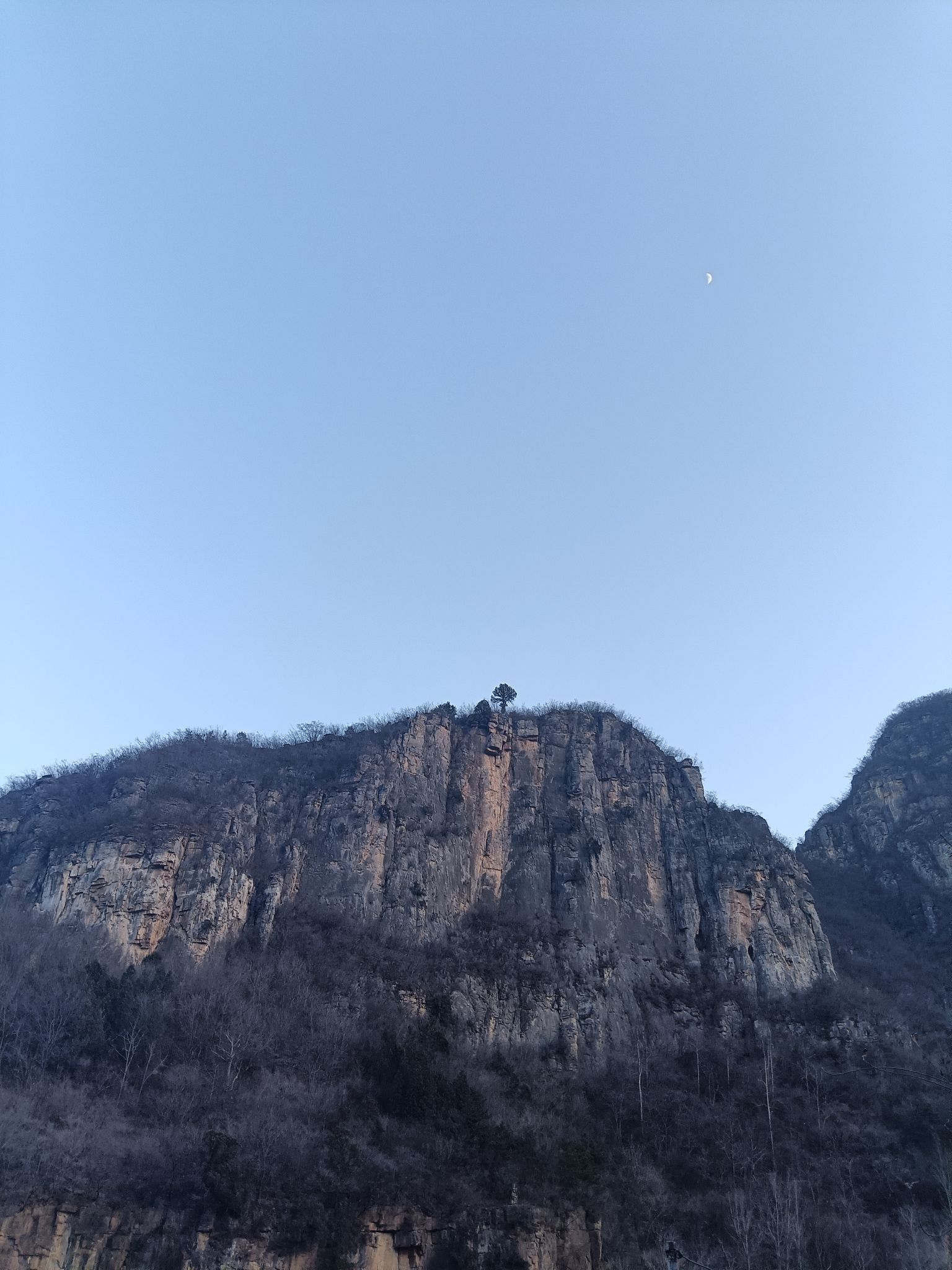 猿猴沟千年崖柏树风景区旅行图片 3