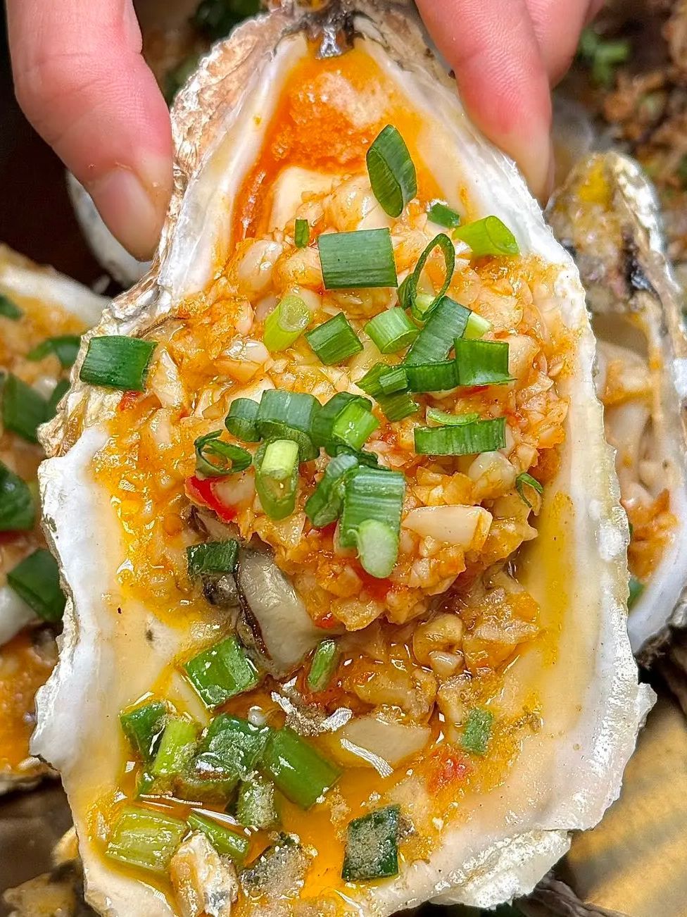 场地封面-火车头花园咖啡营地