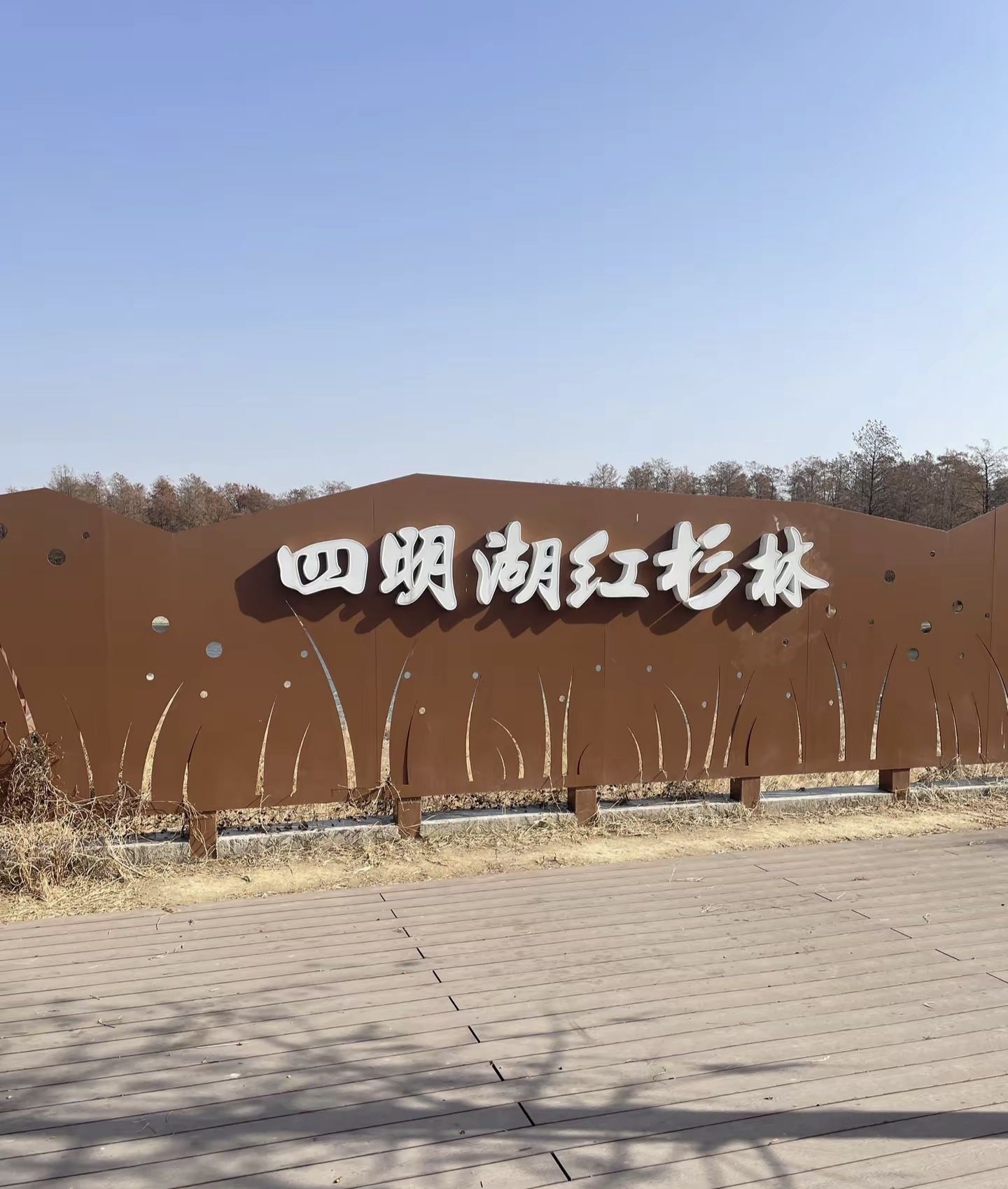 四明湖红杉林旅行图片 1