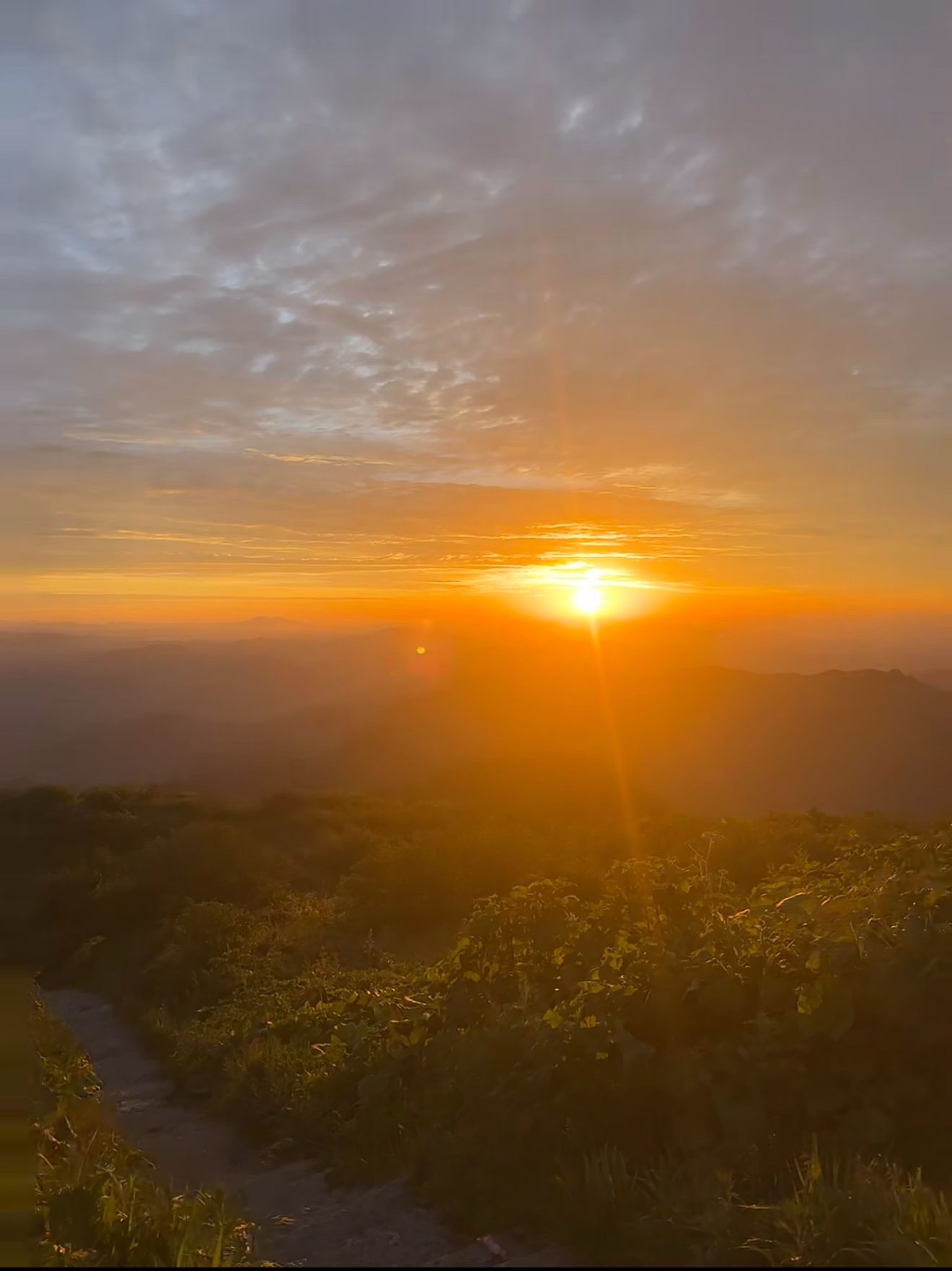 千佛山风景旅游区