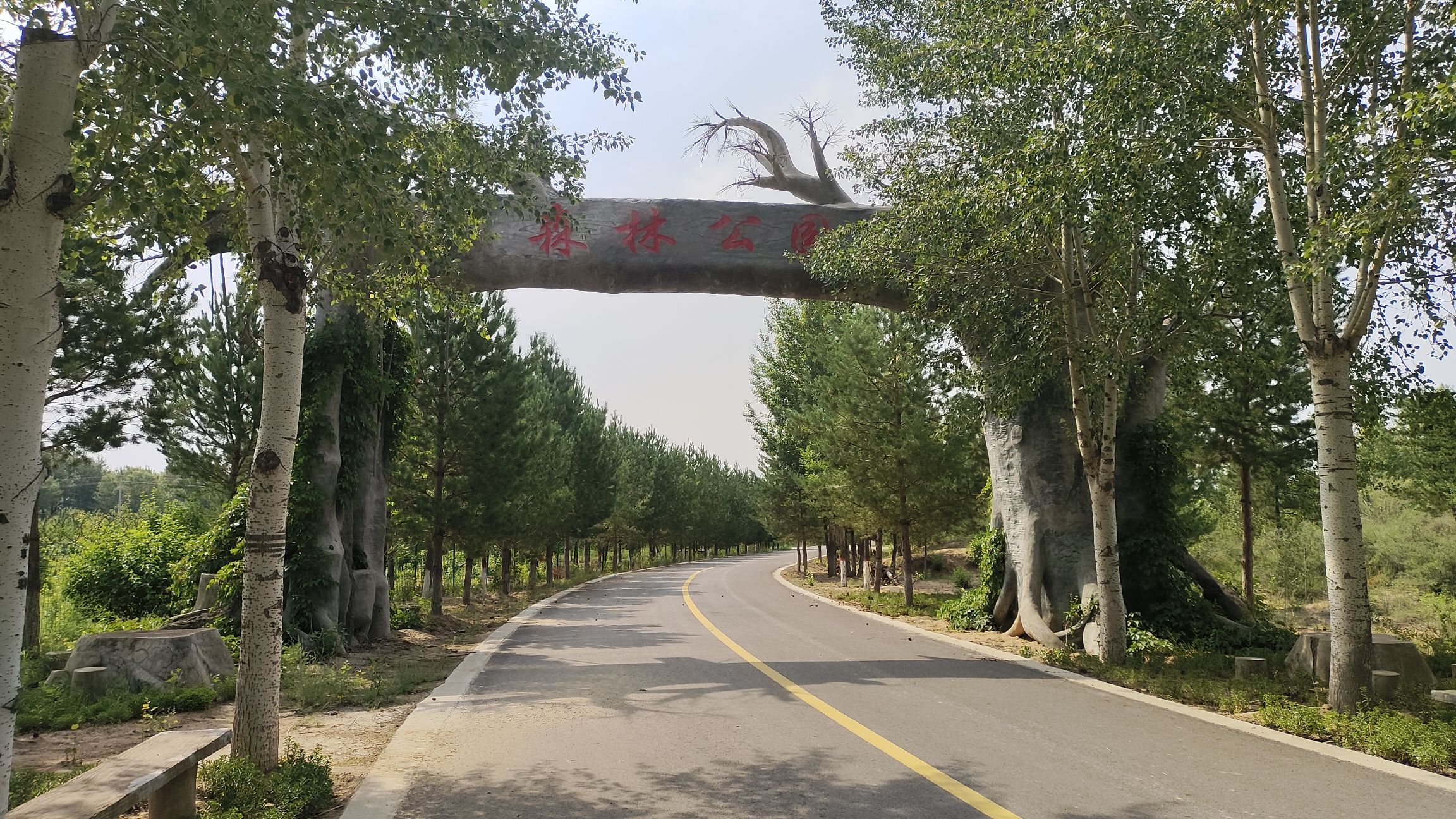 榆林沙漠国家森林公园