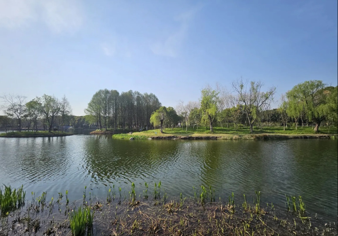 沈杨公园