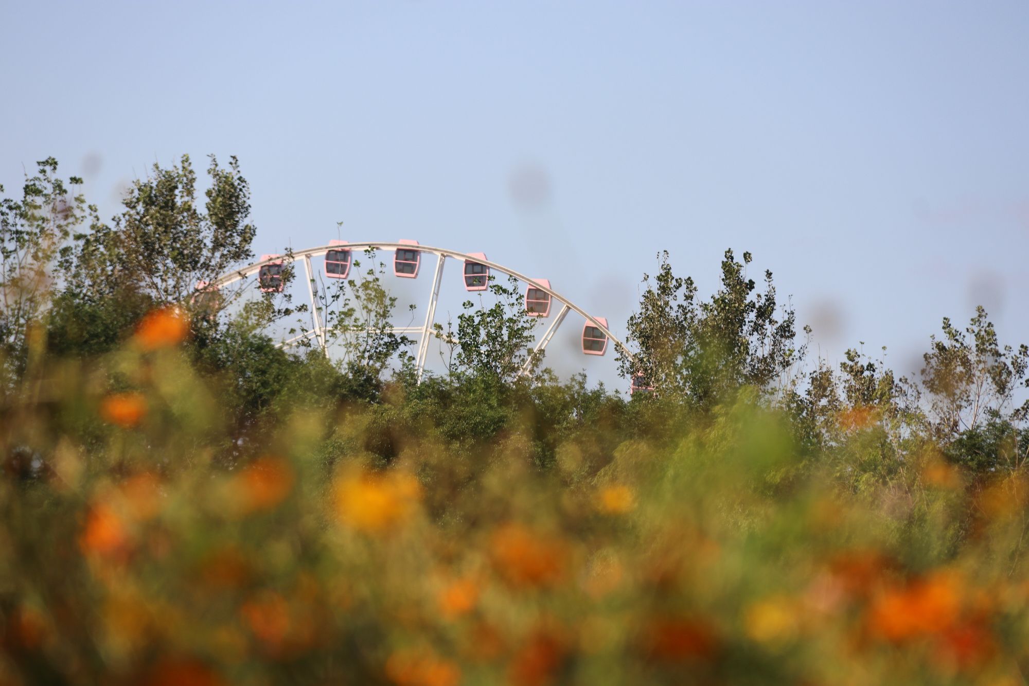 沈杨公园旅行图片 1