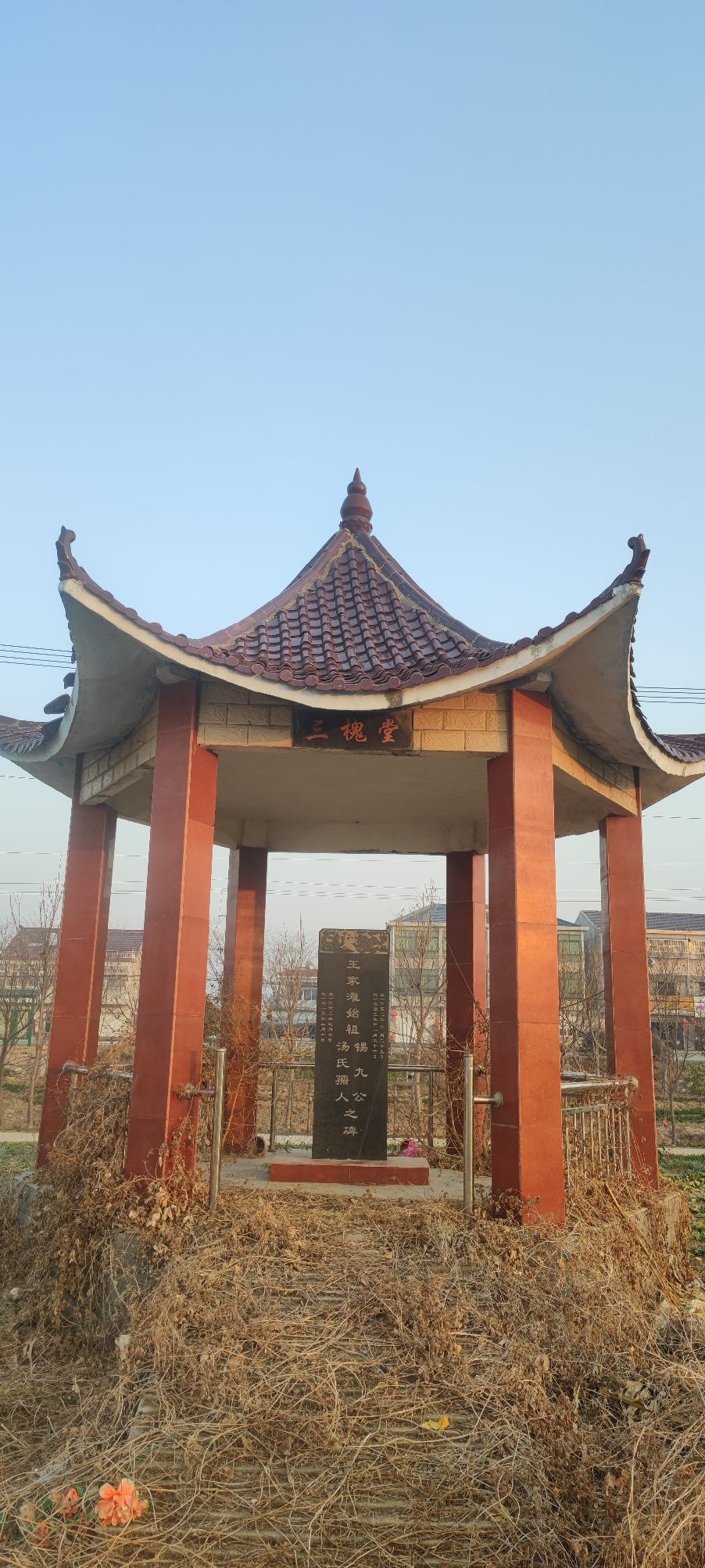 三槐堂王家滩支始祖亭旅行图片 1