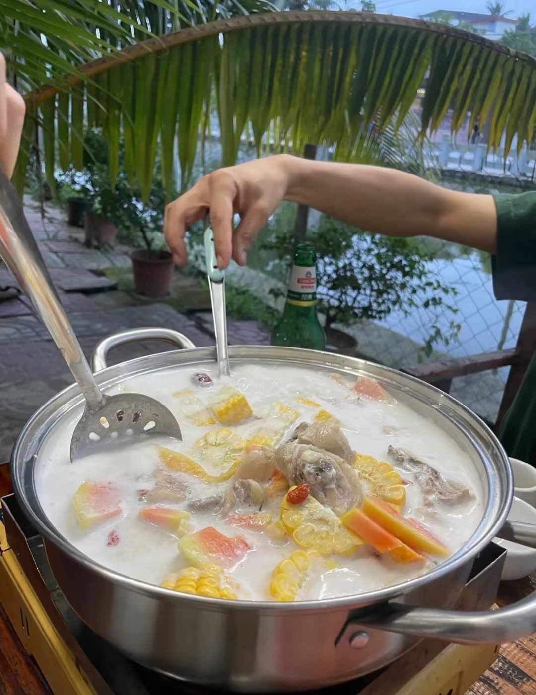 西江月椰奶鸡