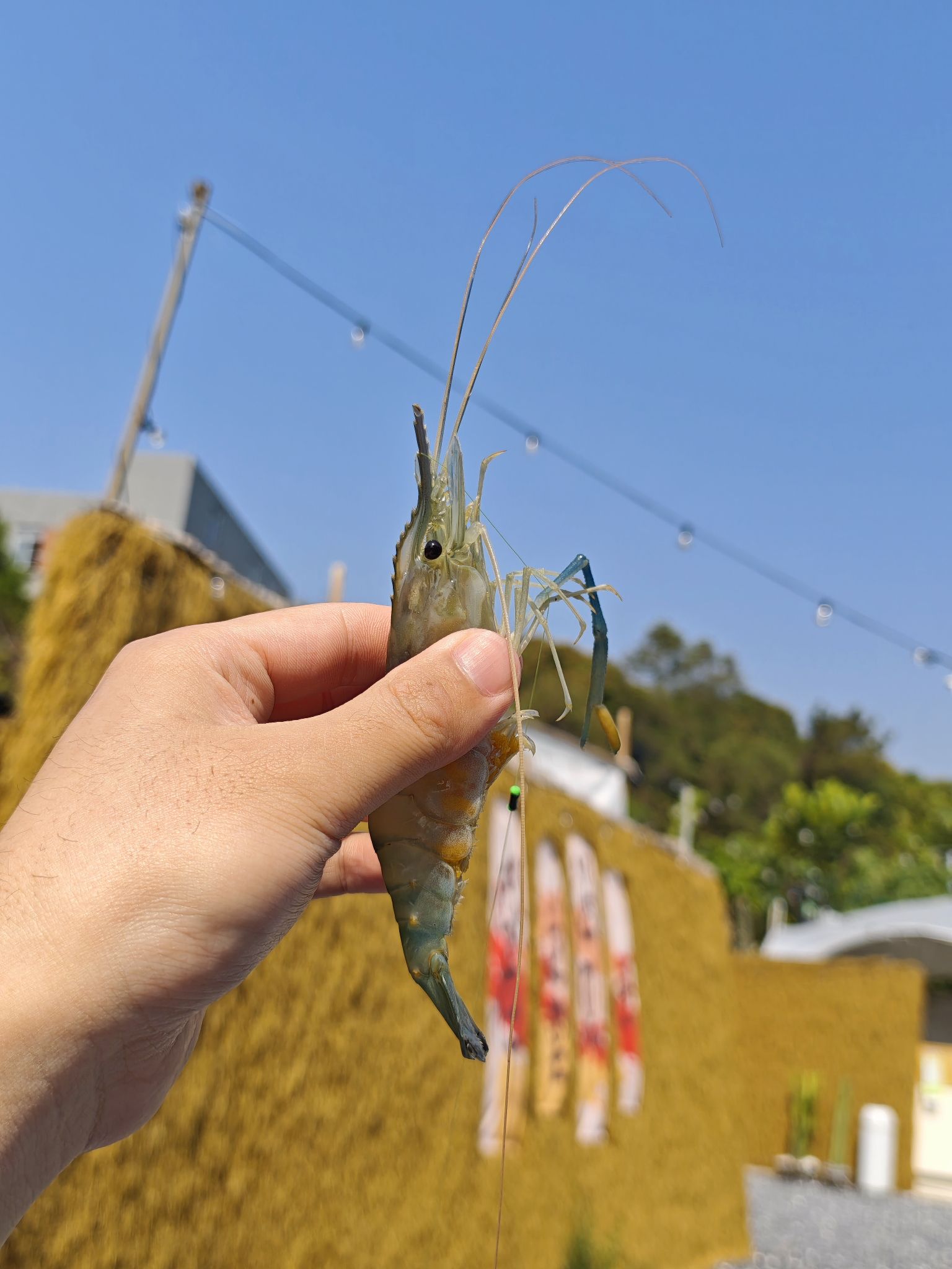 DGE季风钓虾营地·团建·聚会