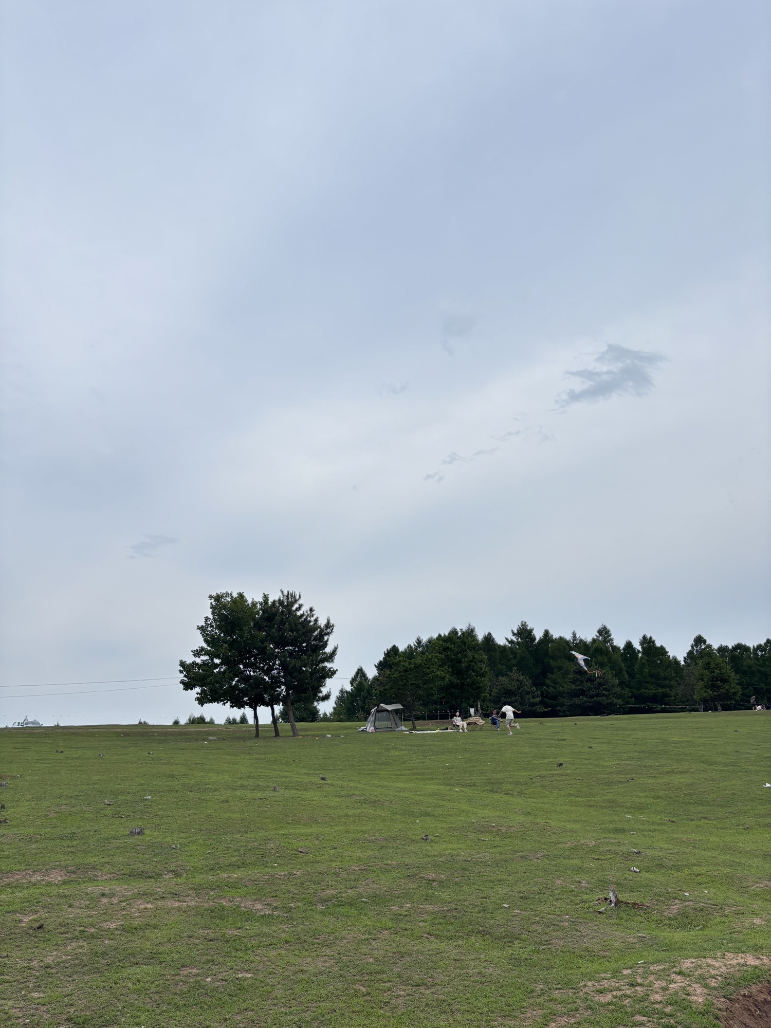 帽儿山·境草原旅行图片 3