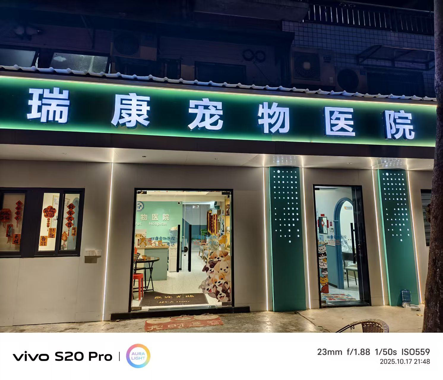 福建漳州市芗城区附近的宠物医院有哪些？