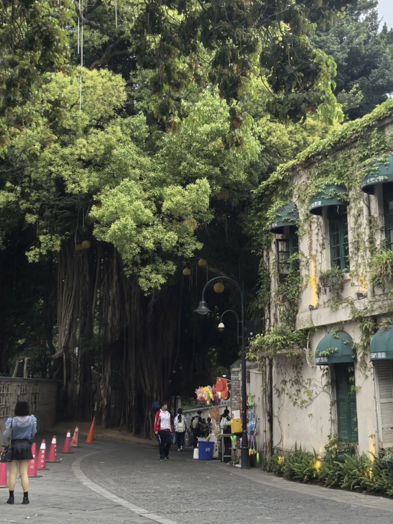 烟台山最美转角旅行图片 2