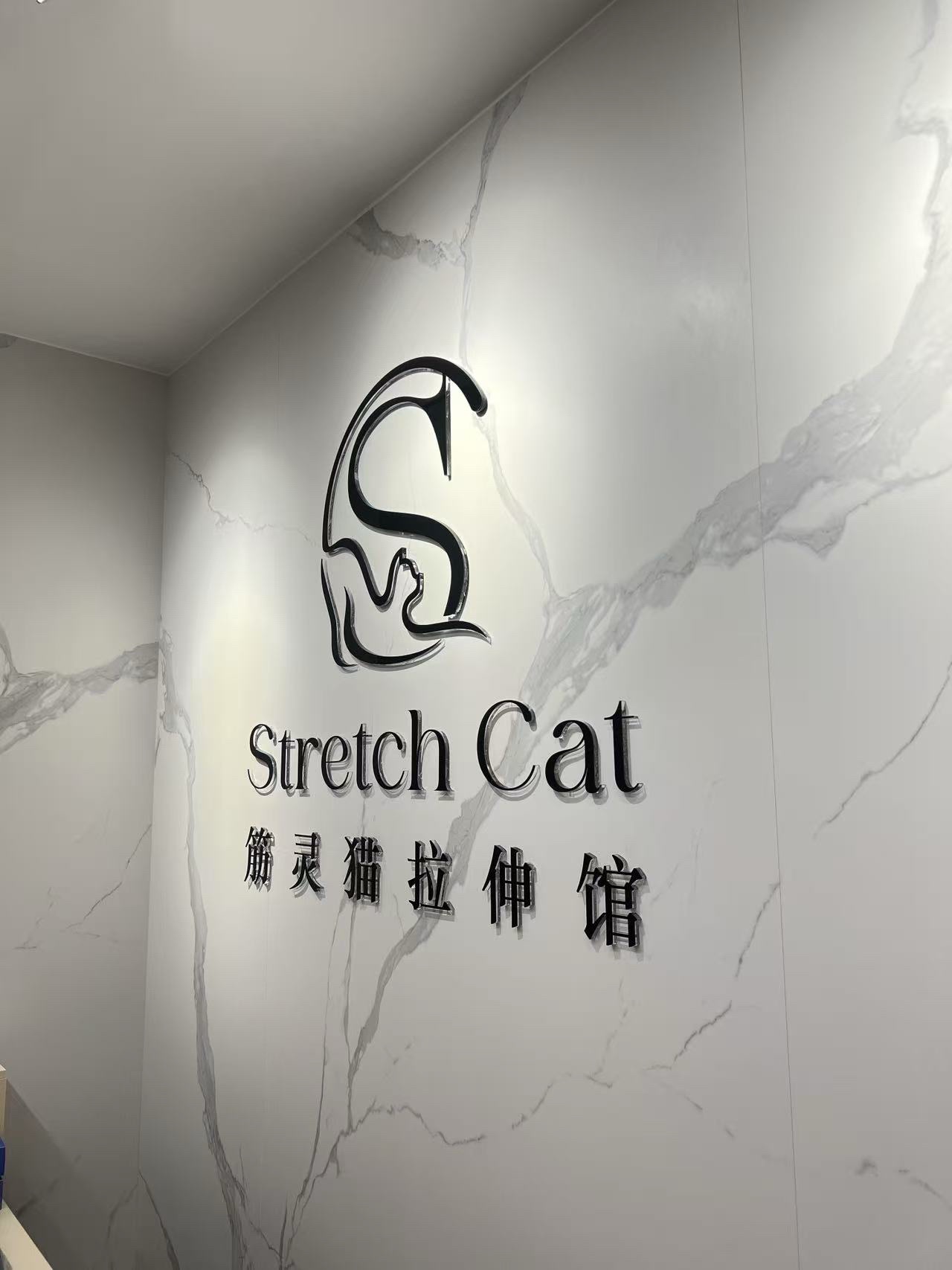 场地封面-筋灵猫拉伸馆