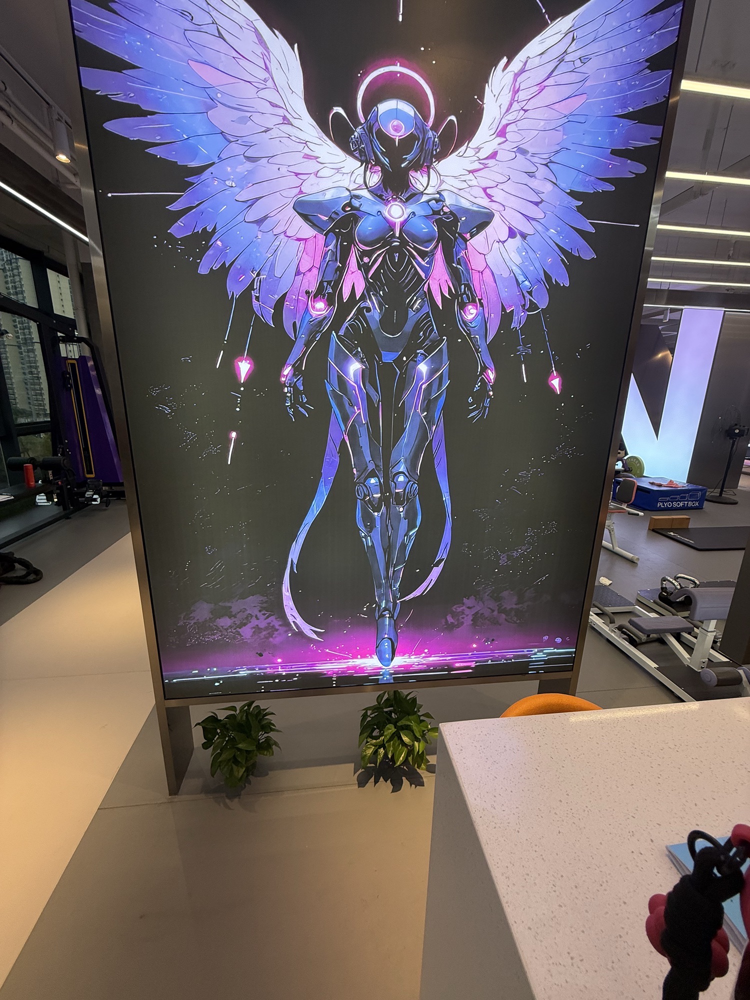 场地封面-X-GIRL女子健身