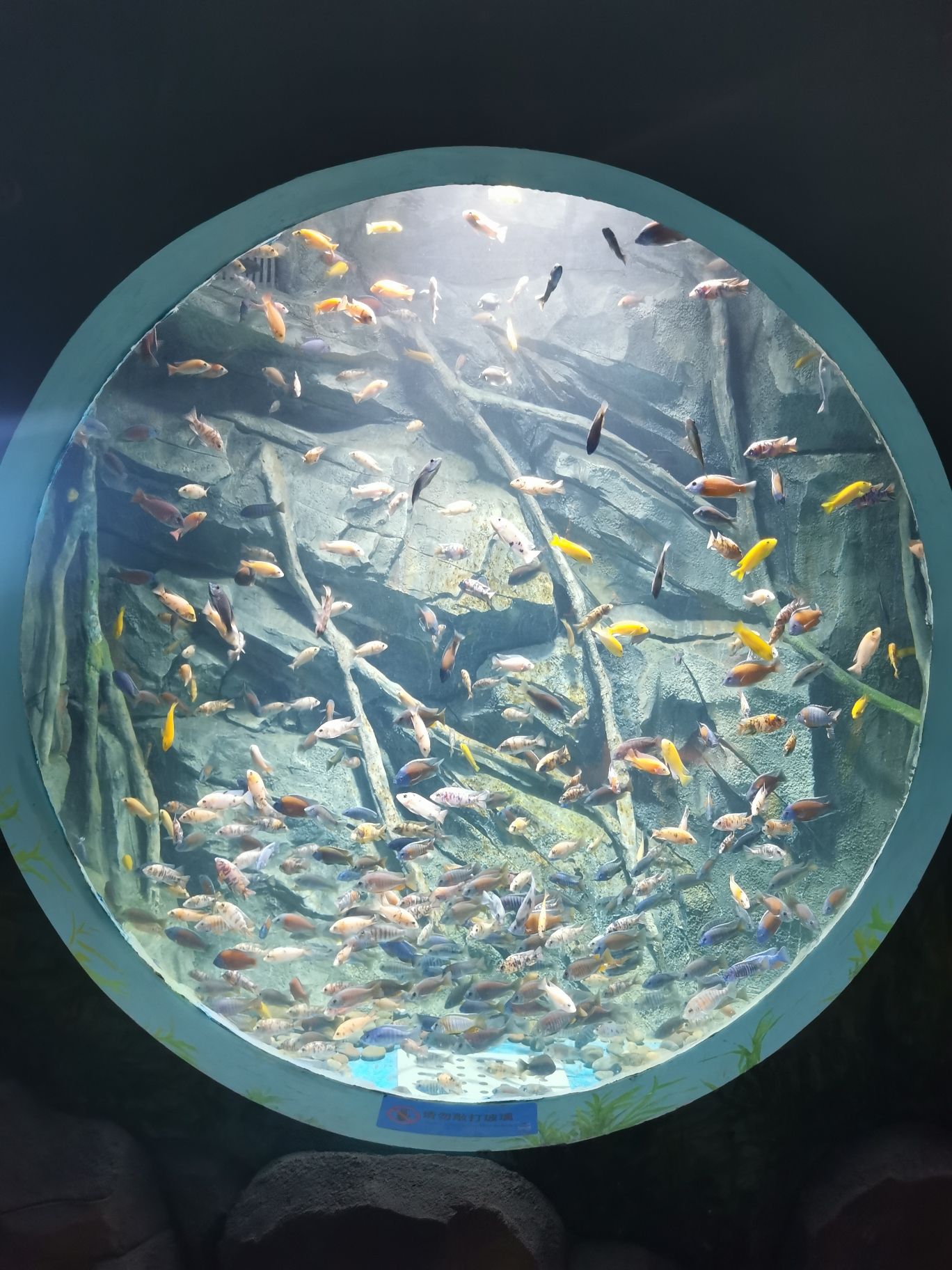 运河海底世界旅行图片 2