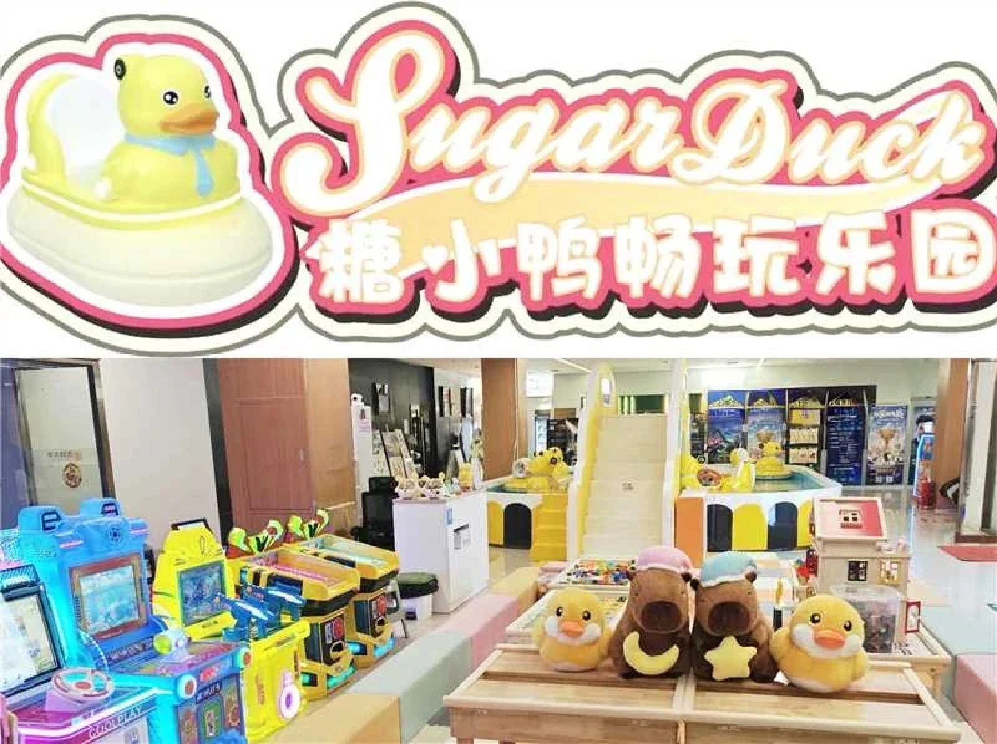 场地封面-糖小鸭畅玩乐园(亿潼隆丰益购物中心)