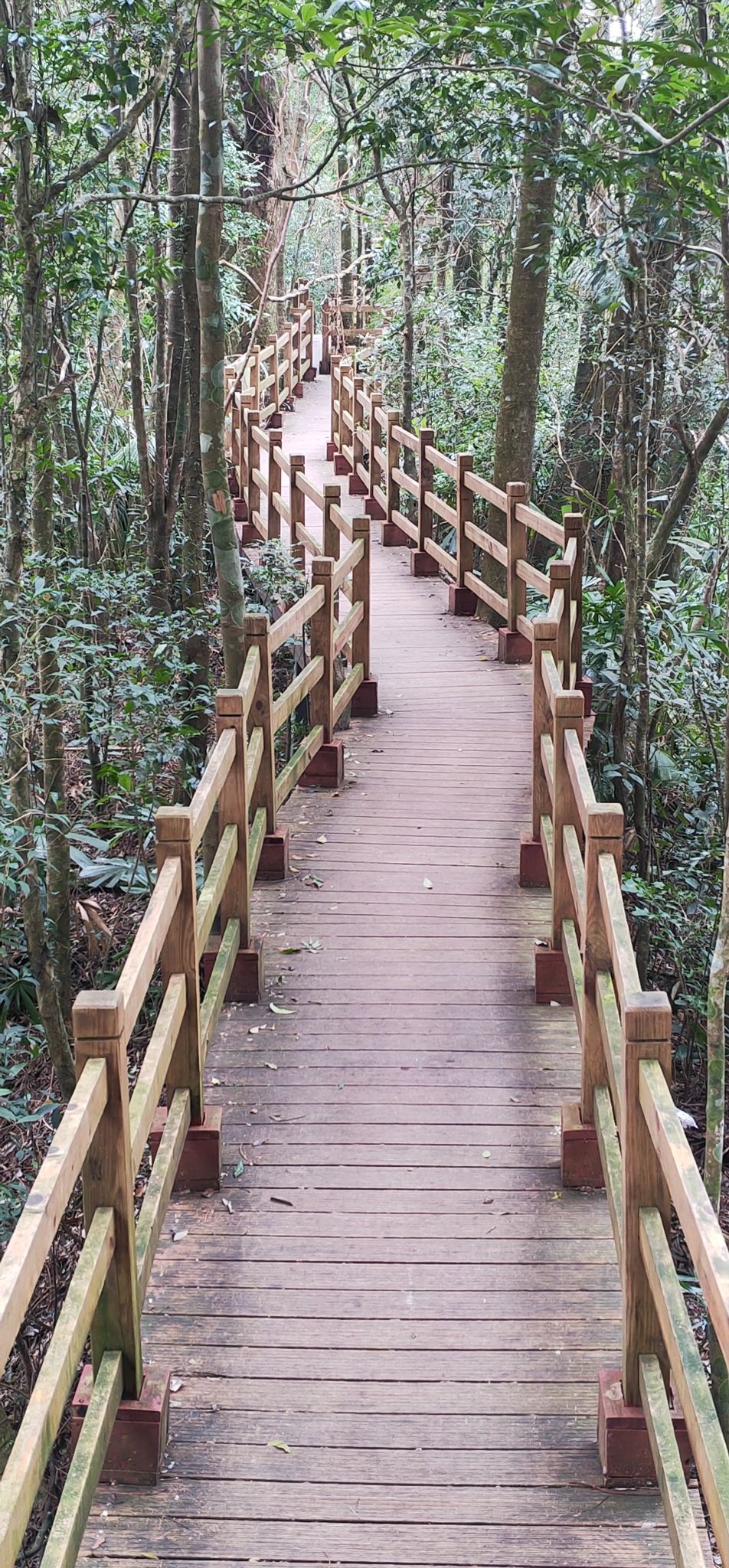 海南热带雨林国家公园五指山景区