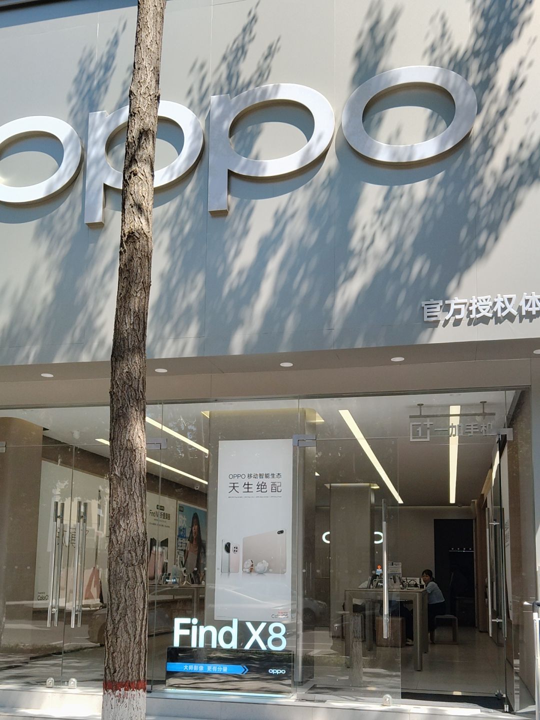 OPPO官方授权体验店(宝鸡扶风县南一路店)