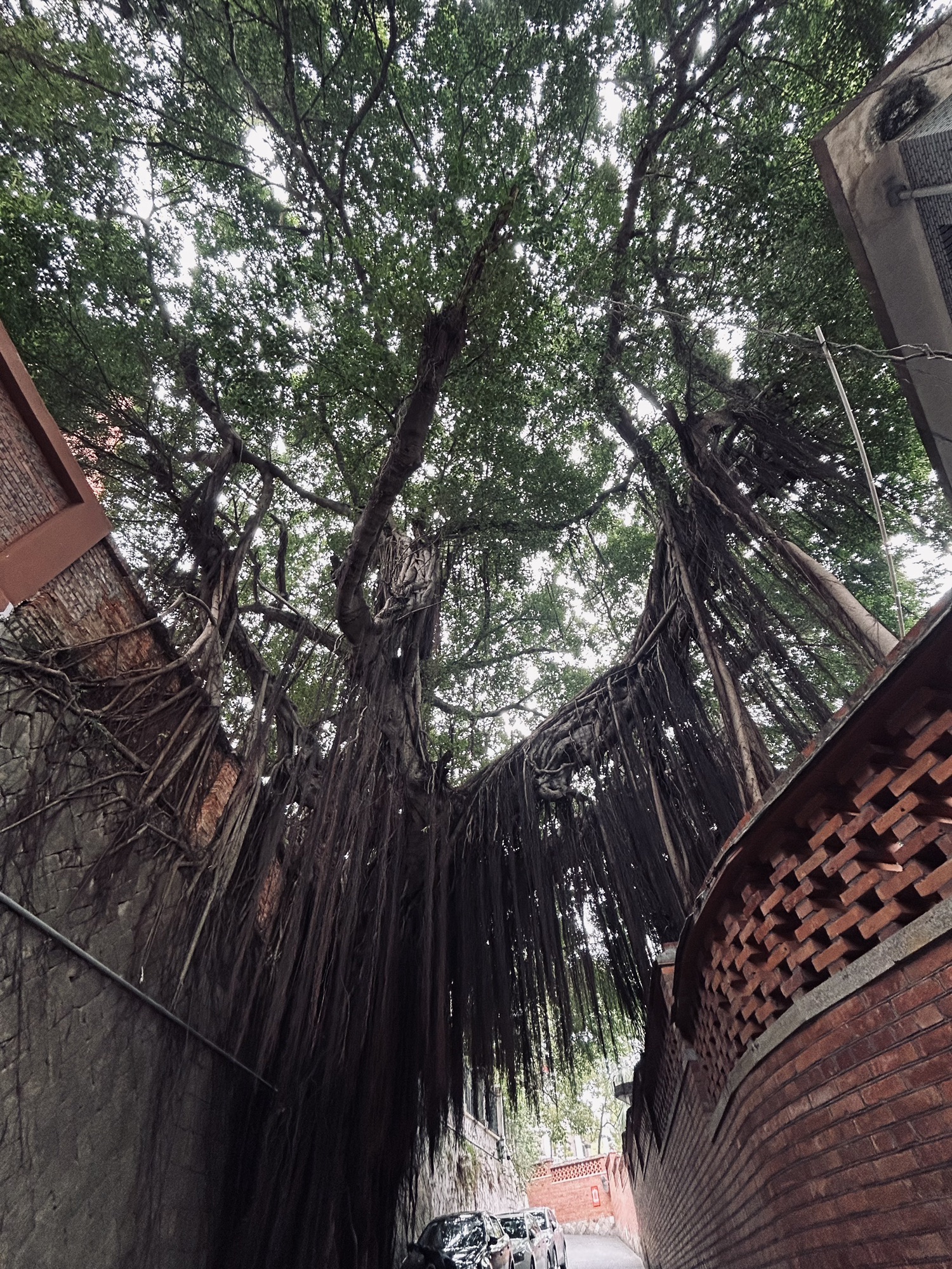 烟台山公园-观景台