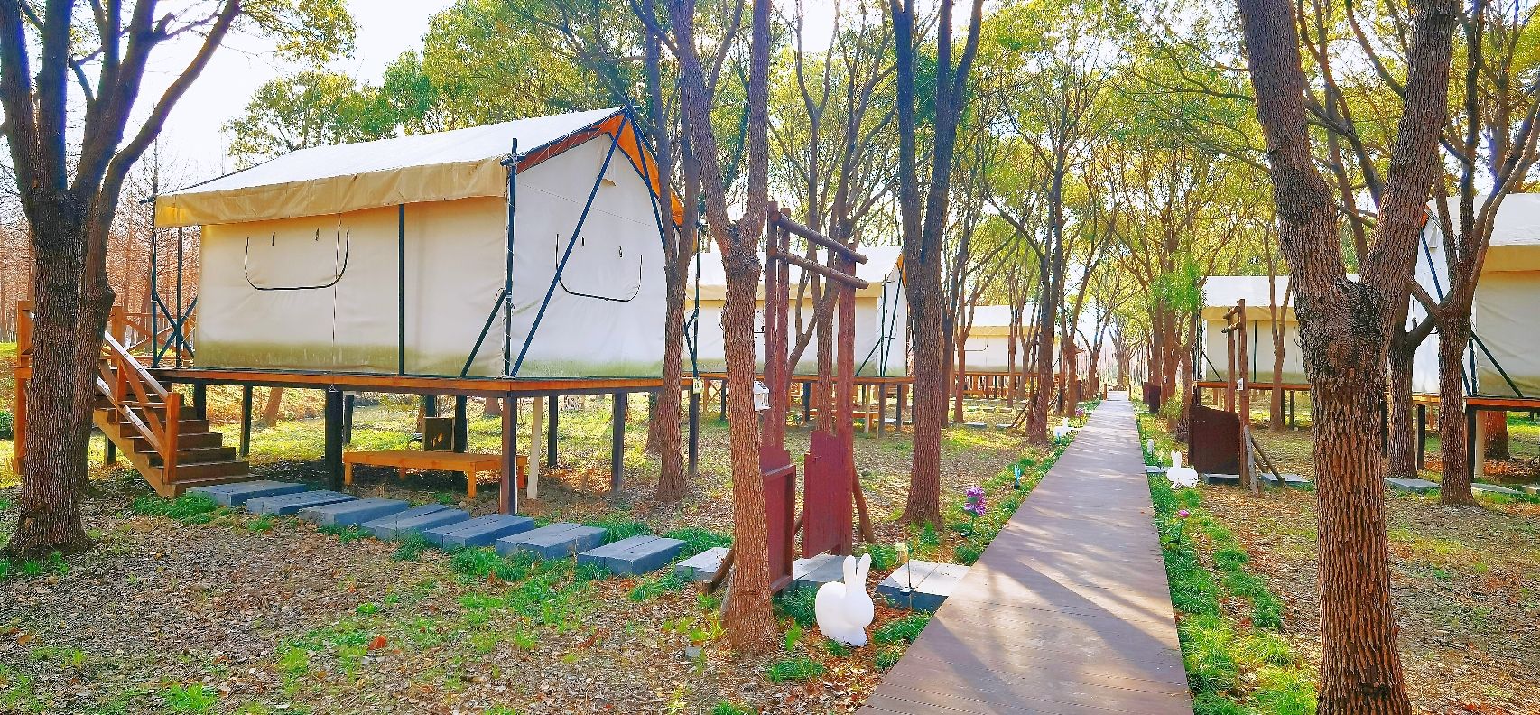 场地封面-松麓萤火虫树屋森林营地