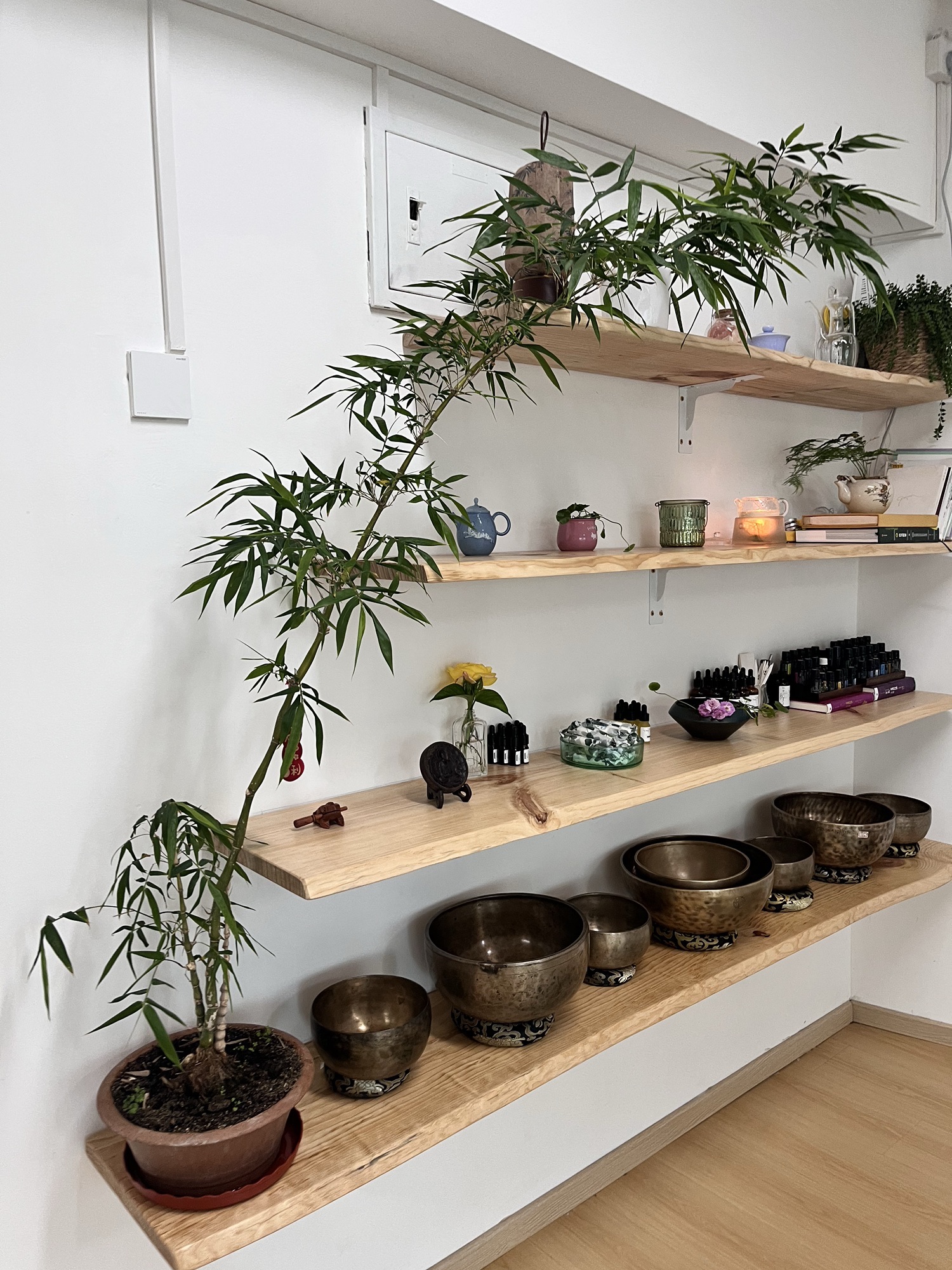 场地封面-瑜堂•瑜伽芳香疗愈