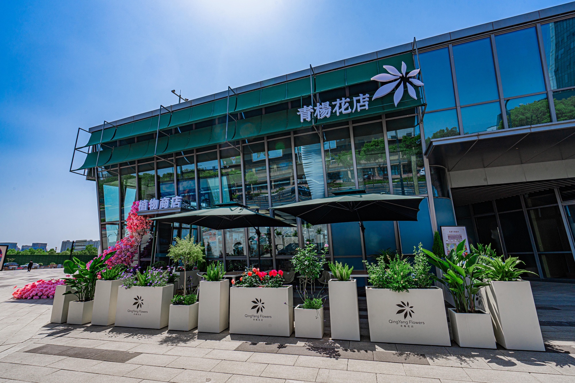 青杨花店