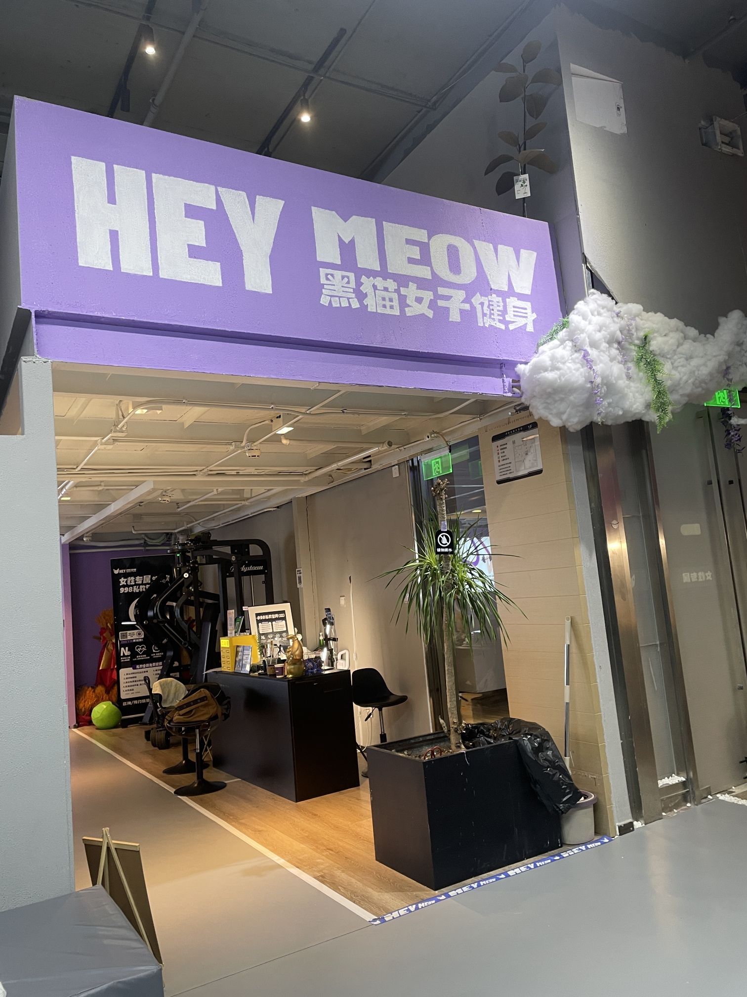 场地封面-黑猫女子健身