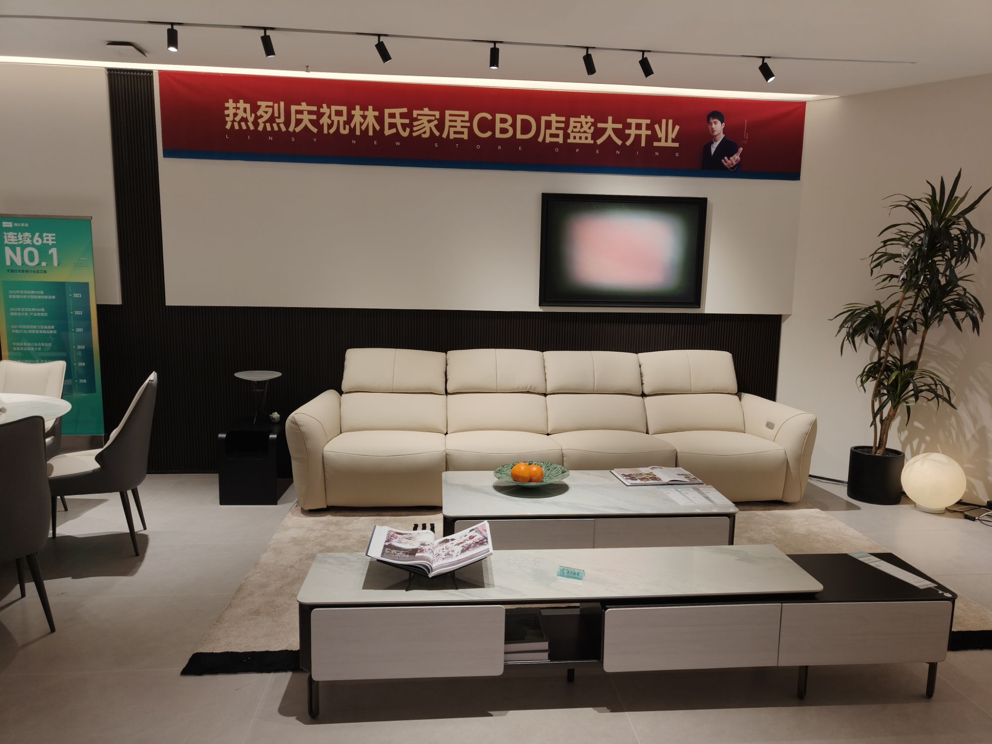 林氏家居(宜昌CBD店)