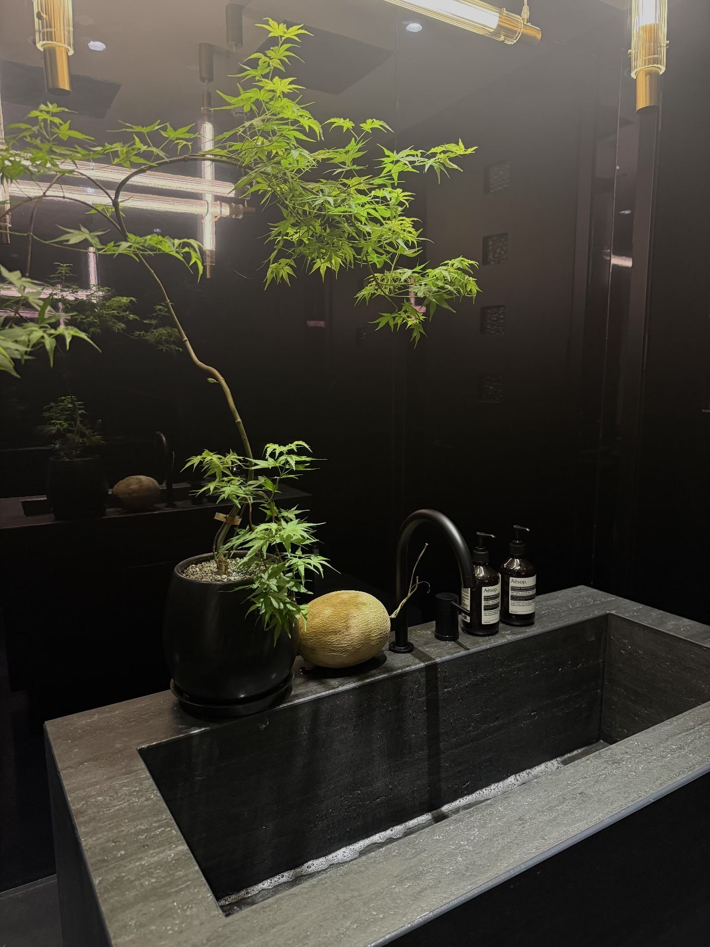 奈兮诗芮医学抗衰