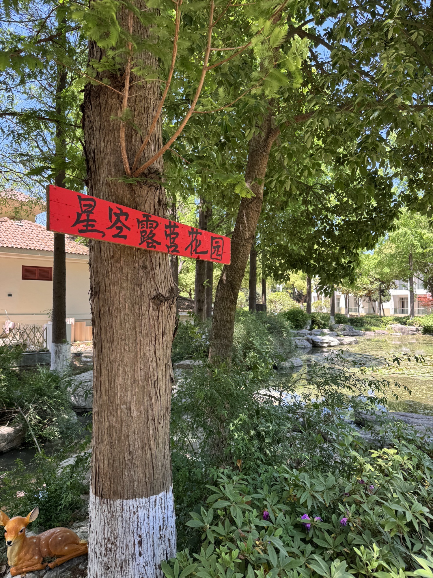 场地封面-湖滨金陵饭店星空露营花园