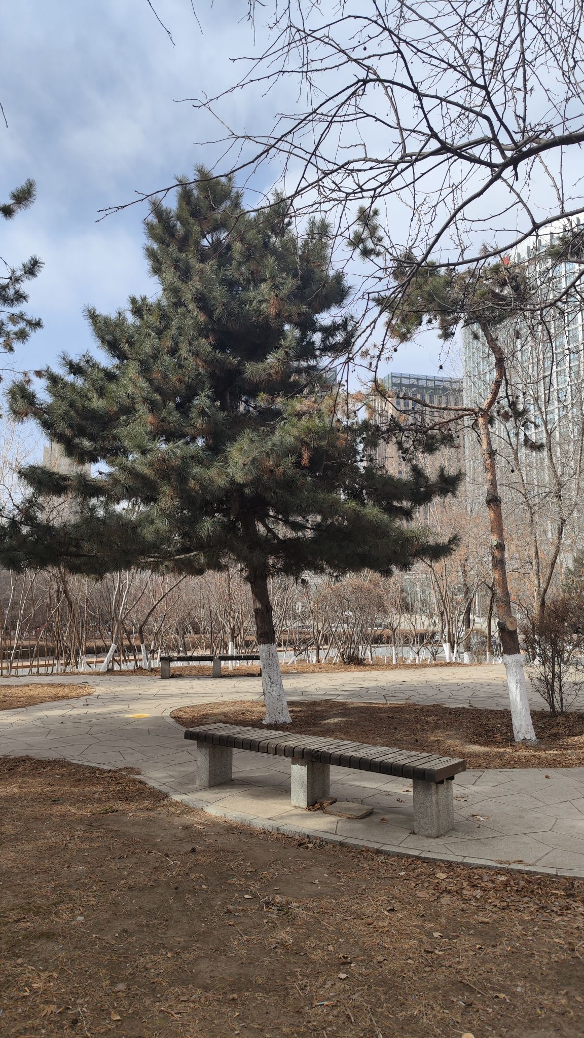 瑞金公园