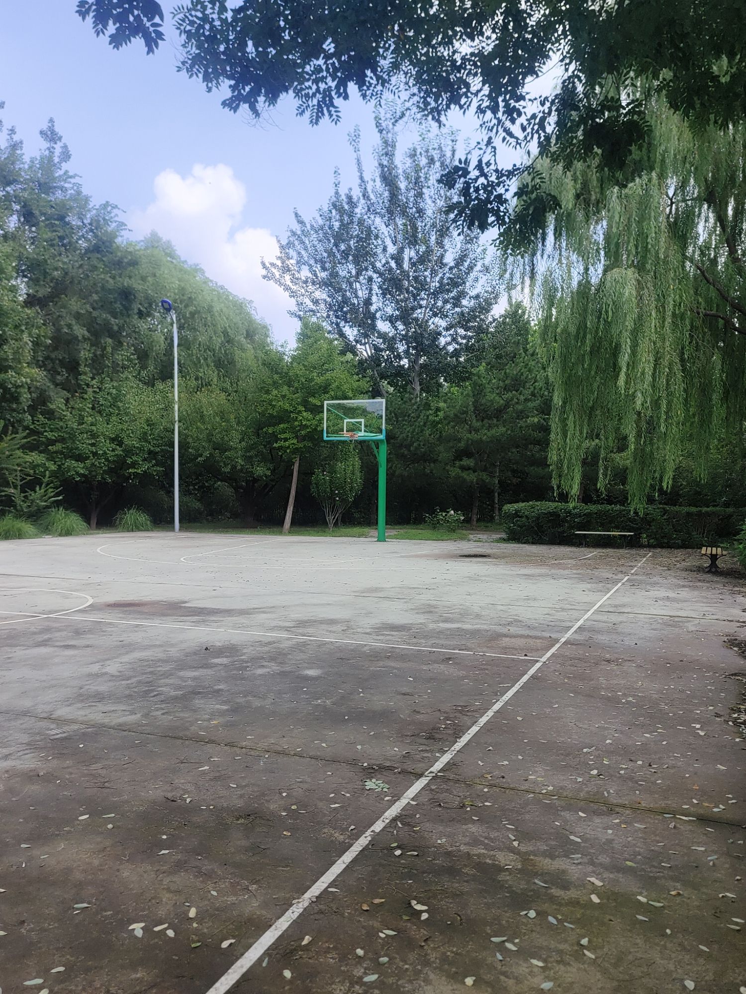 场地封面-白家楼村体育公园篮球场