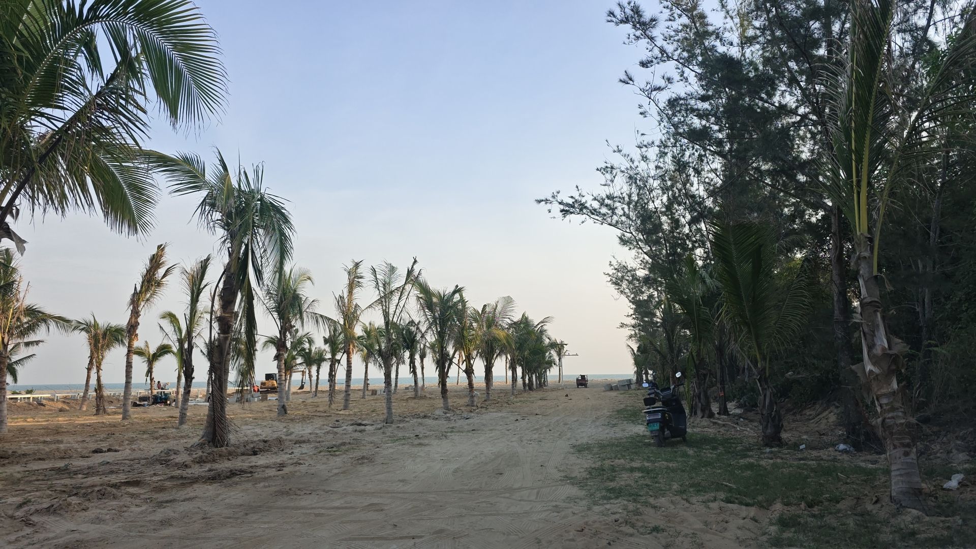 梅东·橘子海沙滩