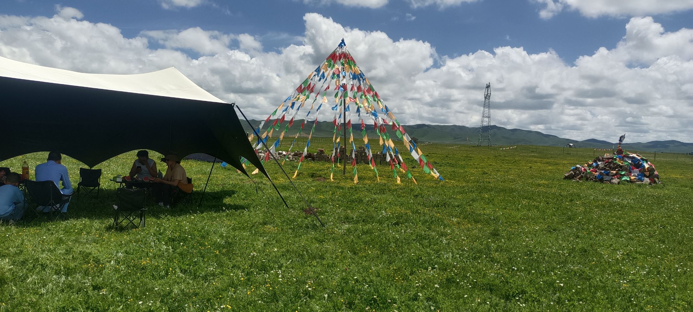 免费喂土拨鼠旅行图片 3
