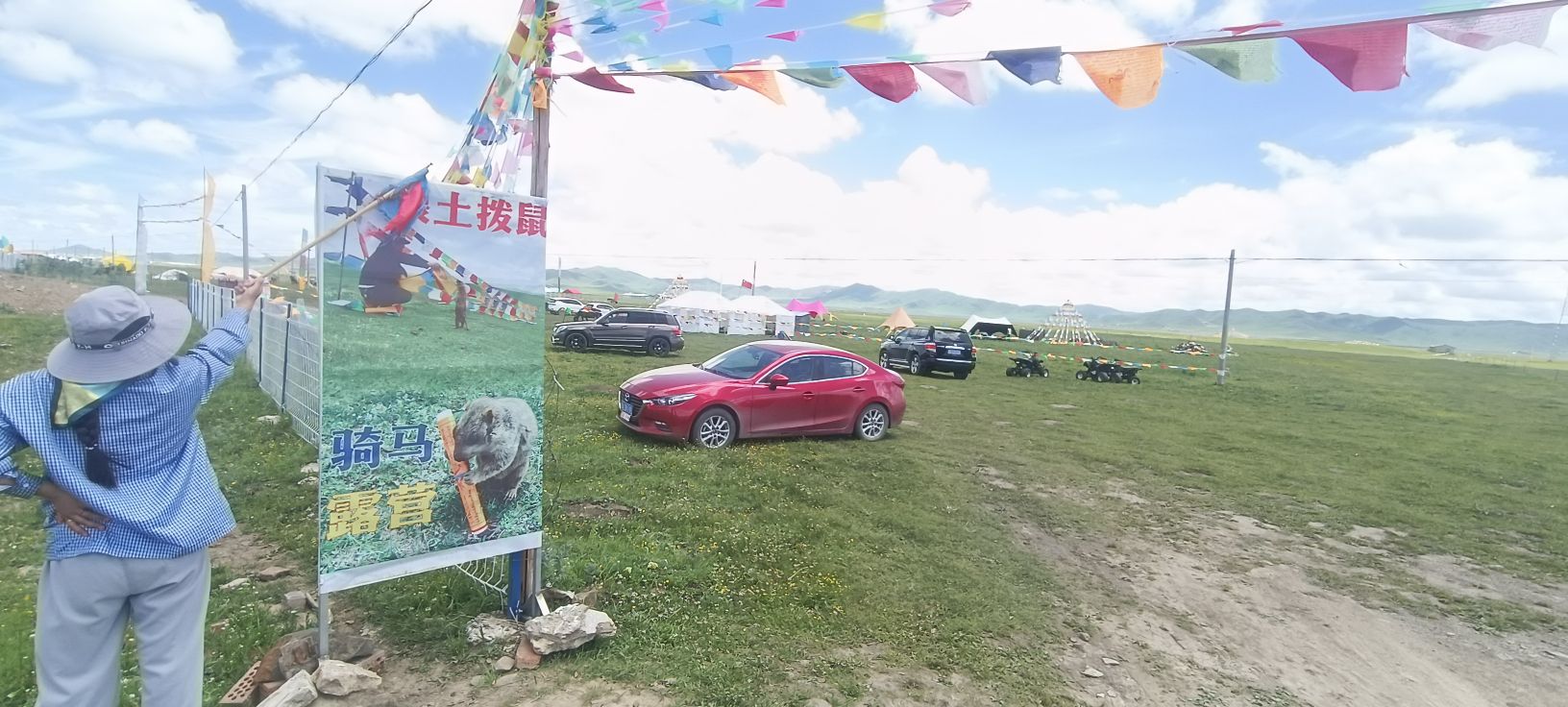 免费喂土拨鼠旅行图片 2