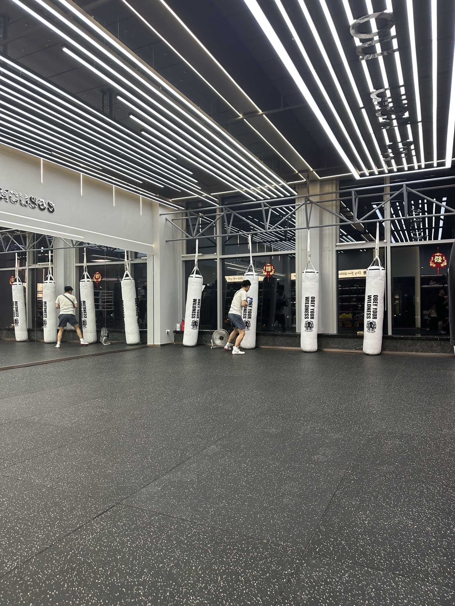 场地封面-羽拳拳击