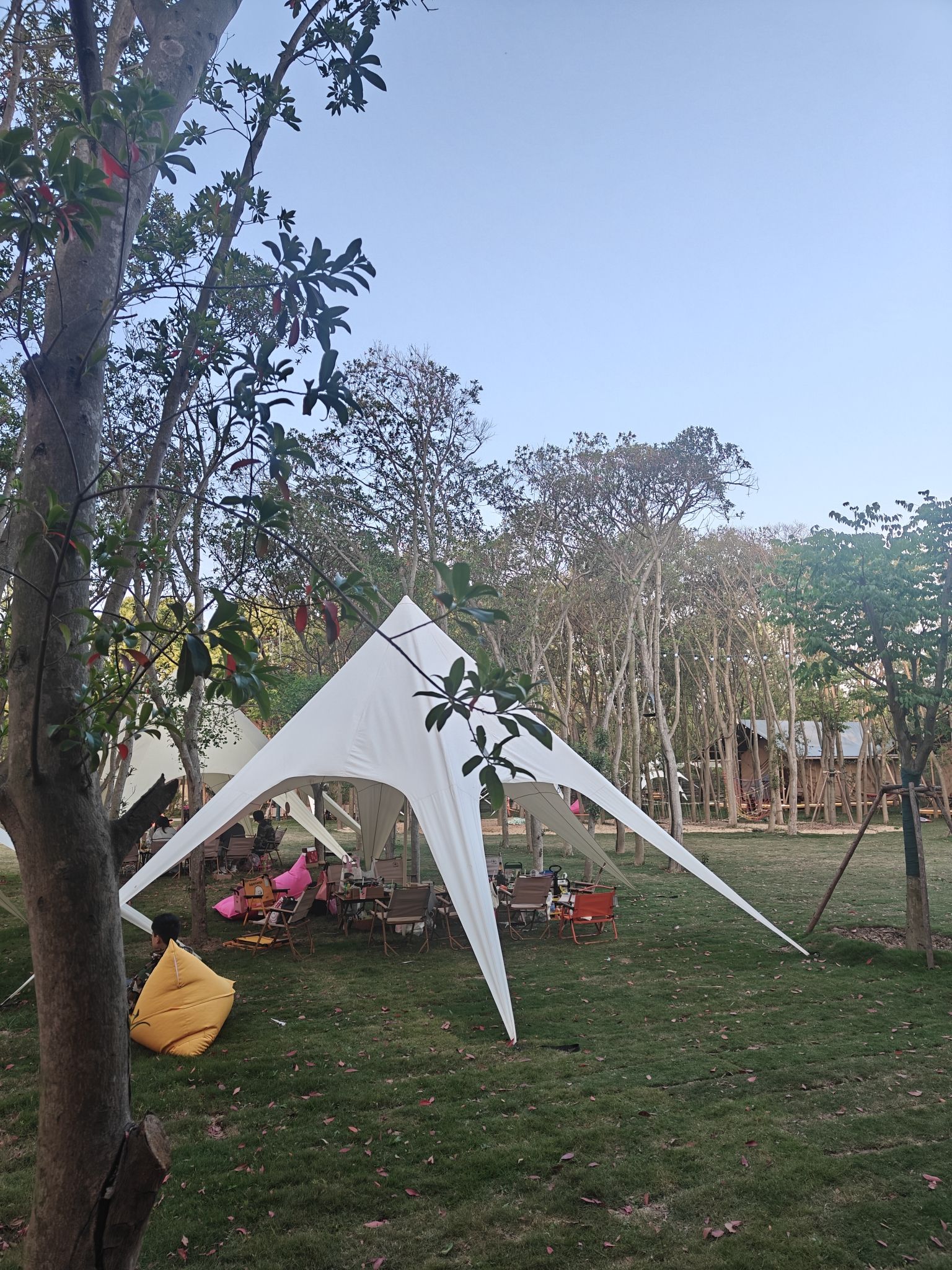 场地封面-Jungle浆果·丛林营地