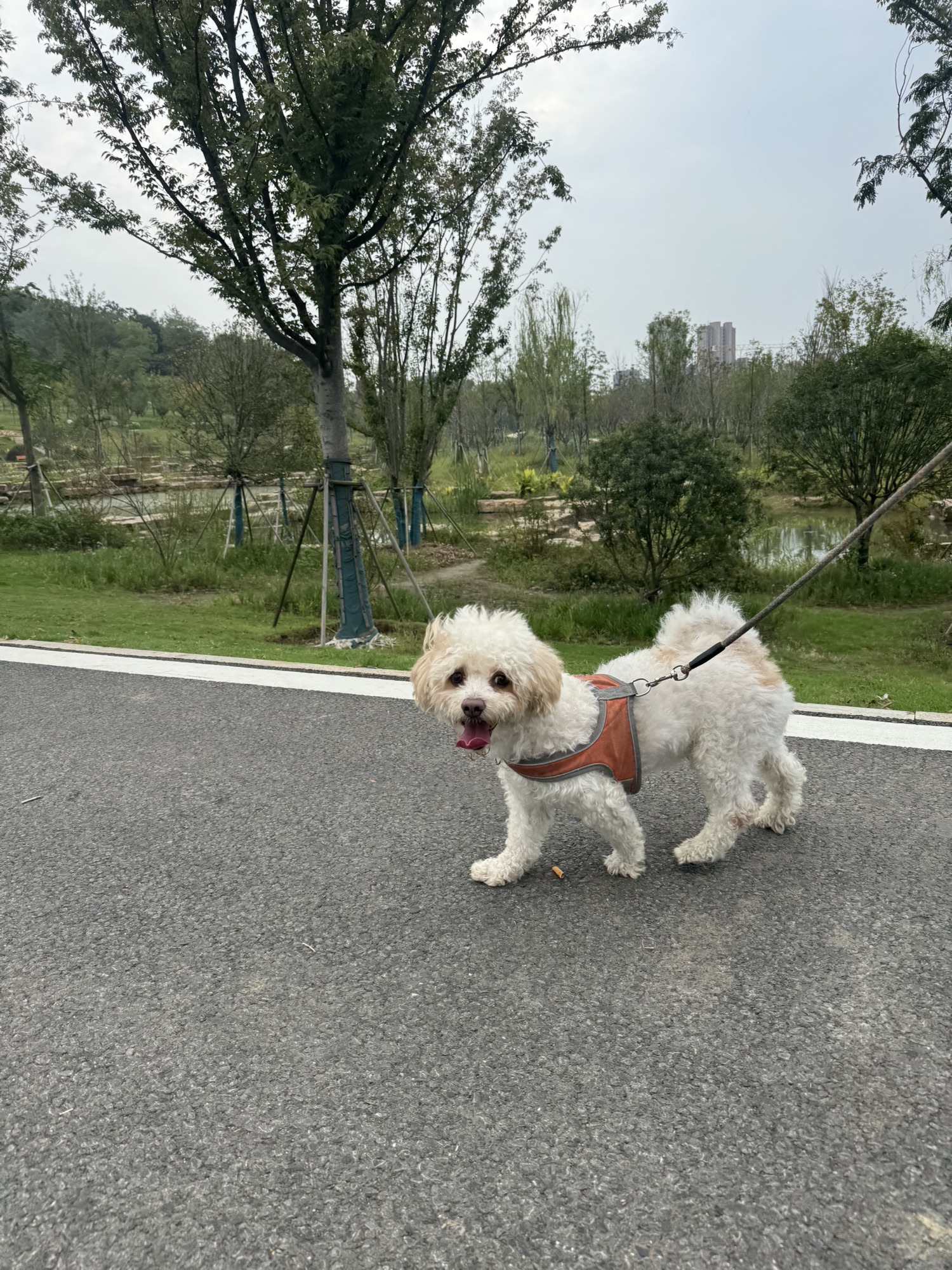梅山公园旅行图片 3