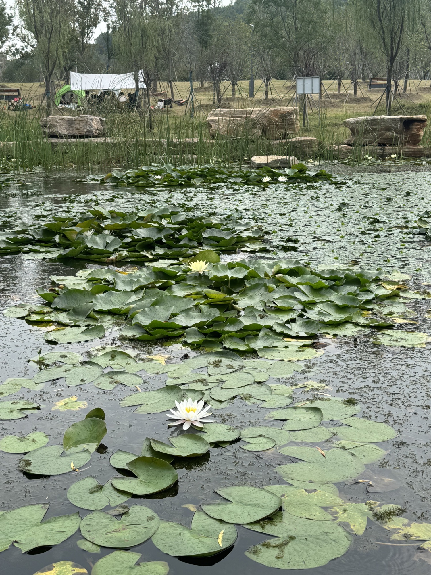 梅山公园旅行图片 2