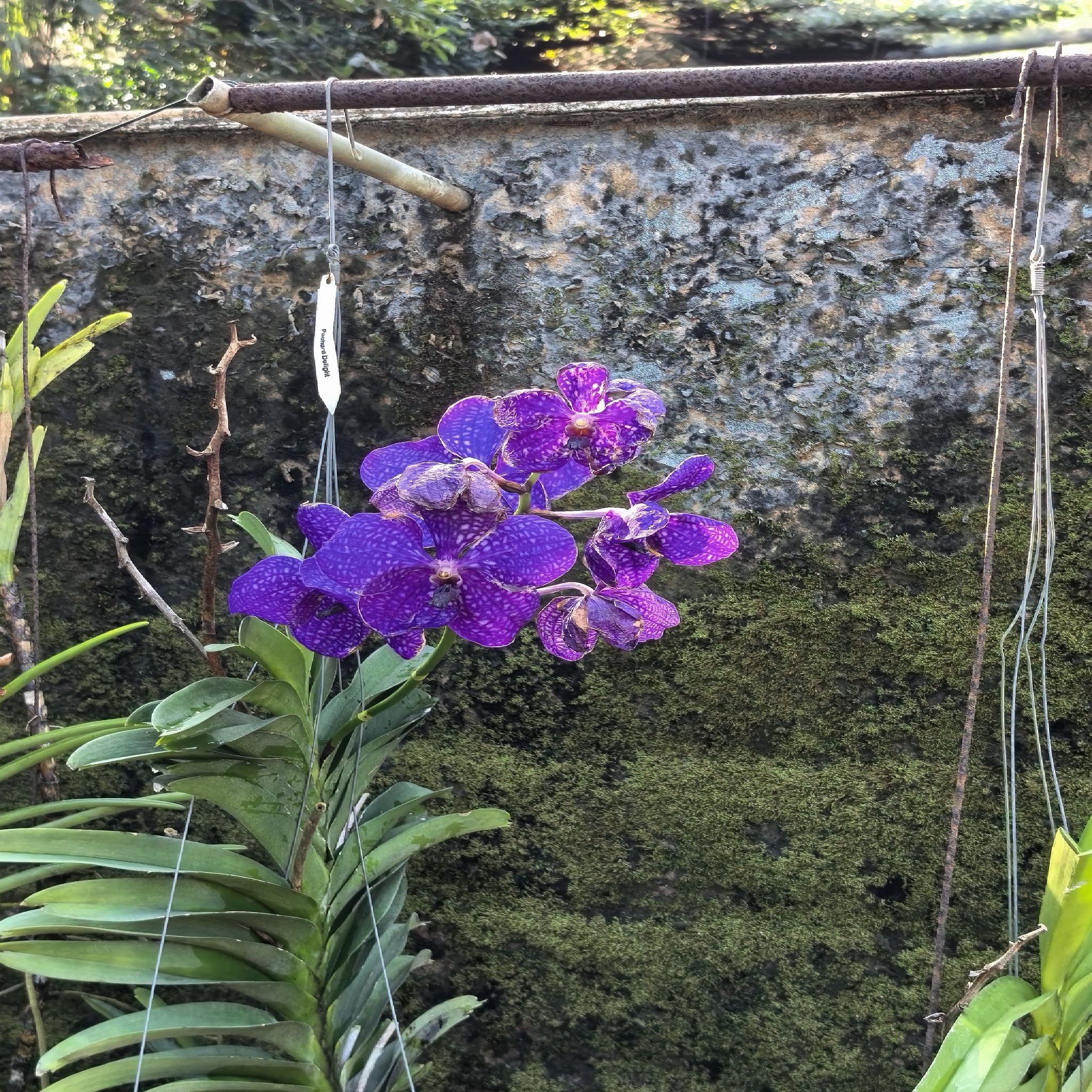 天行山森林公园