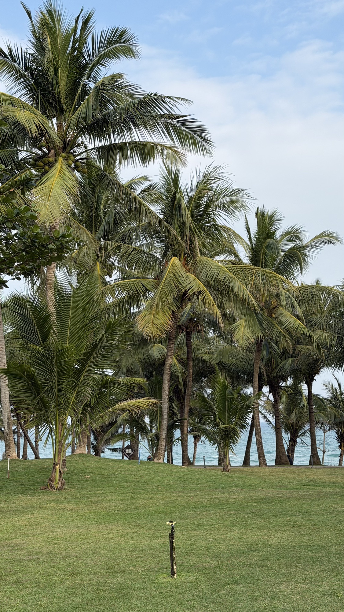 费尔蒙听海草坪(礼成旅行婚礼)