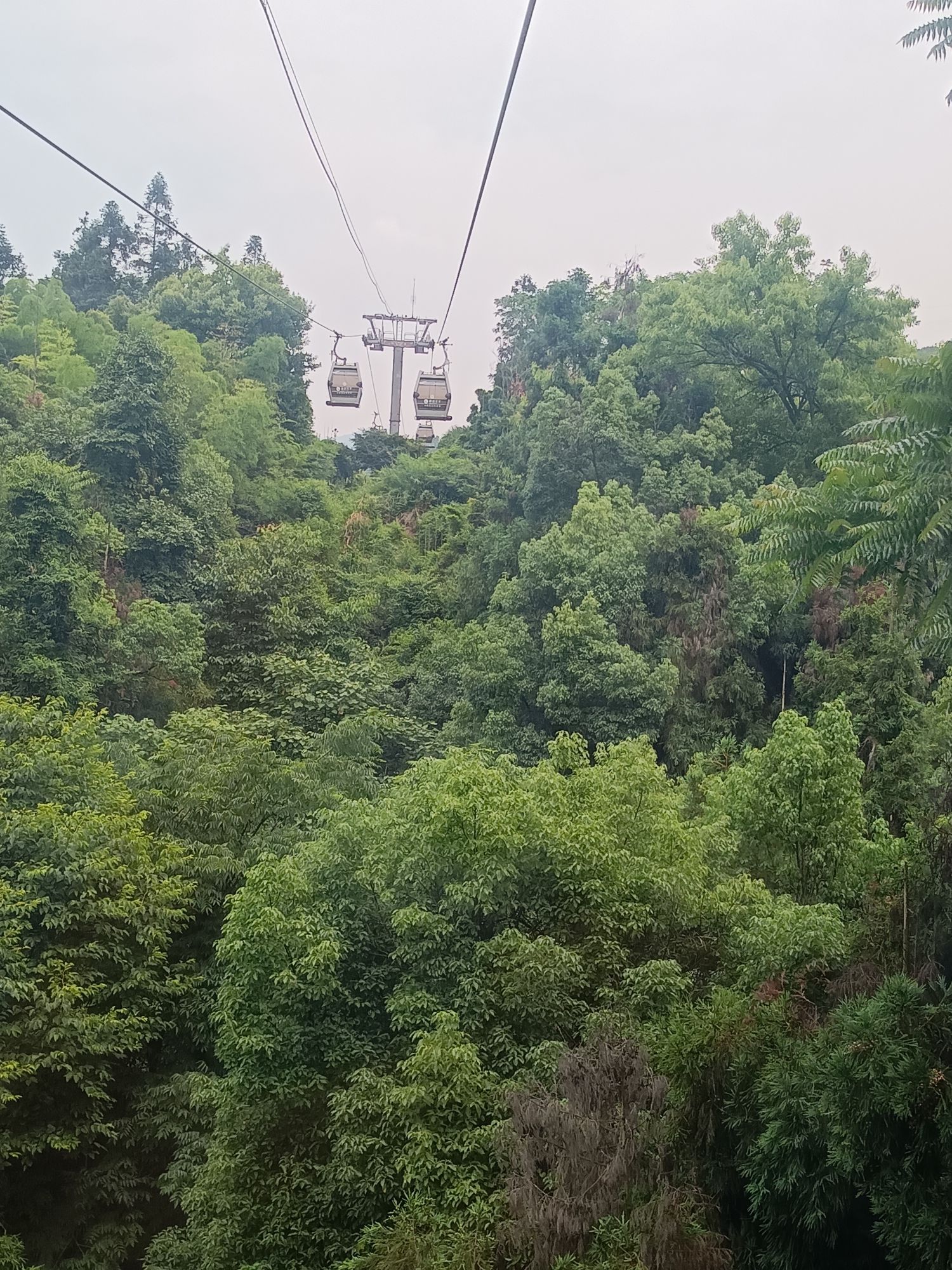长垣市体育公园旅行图片 3