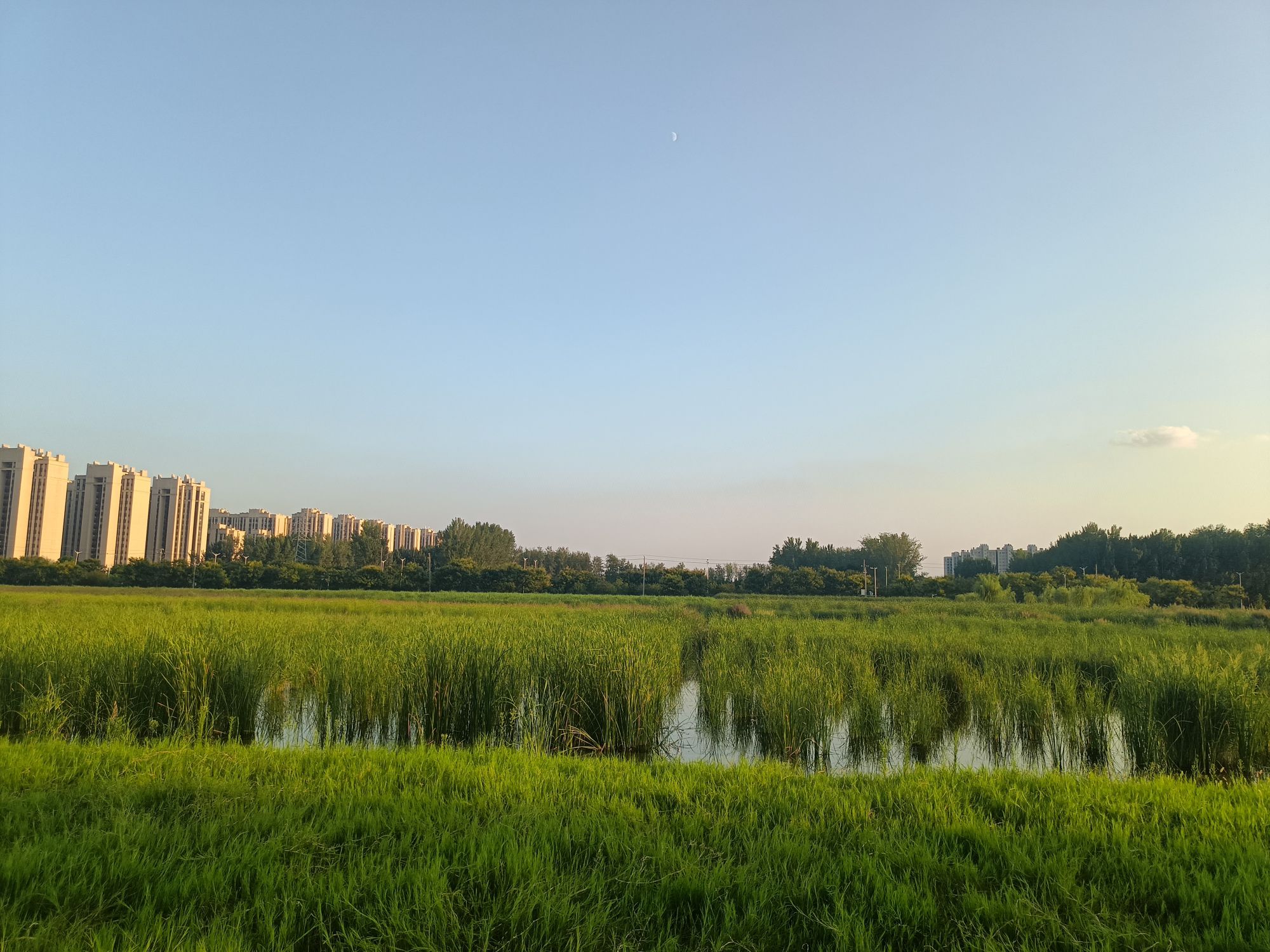 长垣市体育公园旅行图片 2