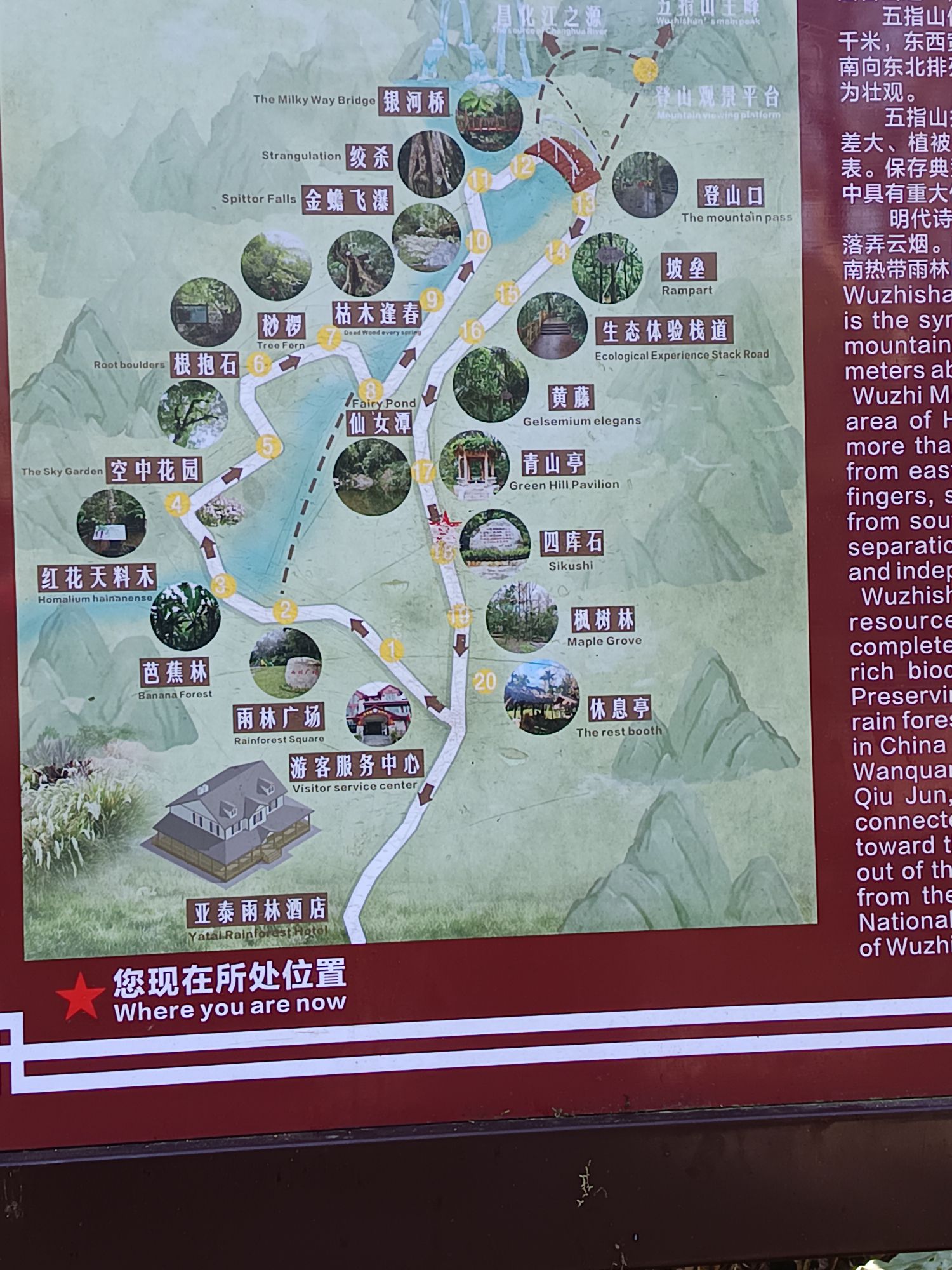 五指山主峰(二峰)