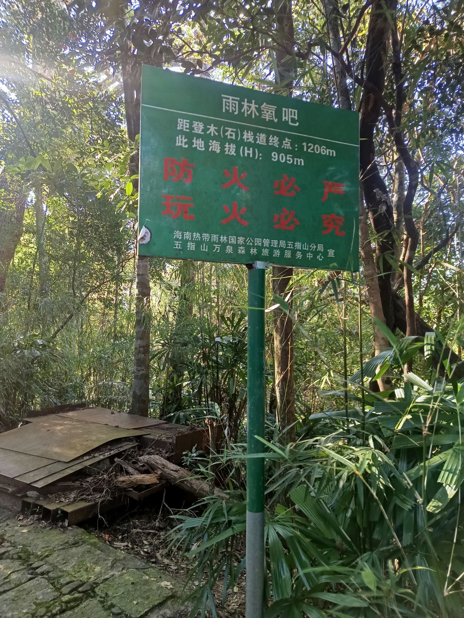 五指山主峰(二峰)