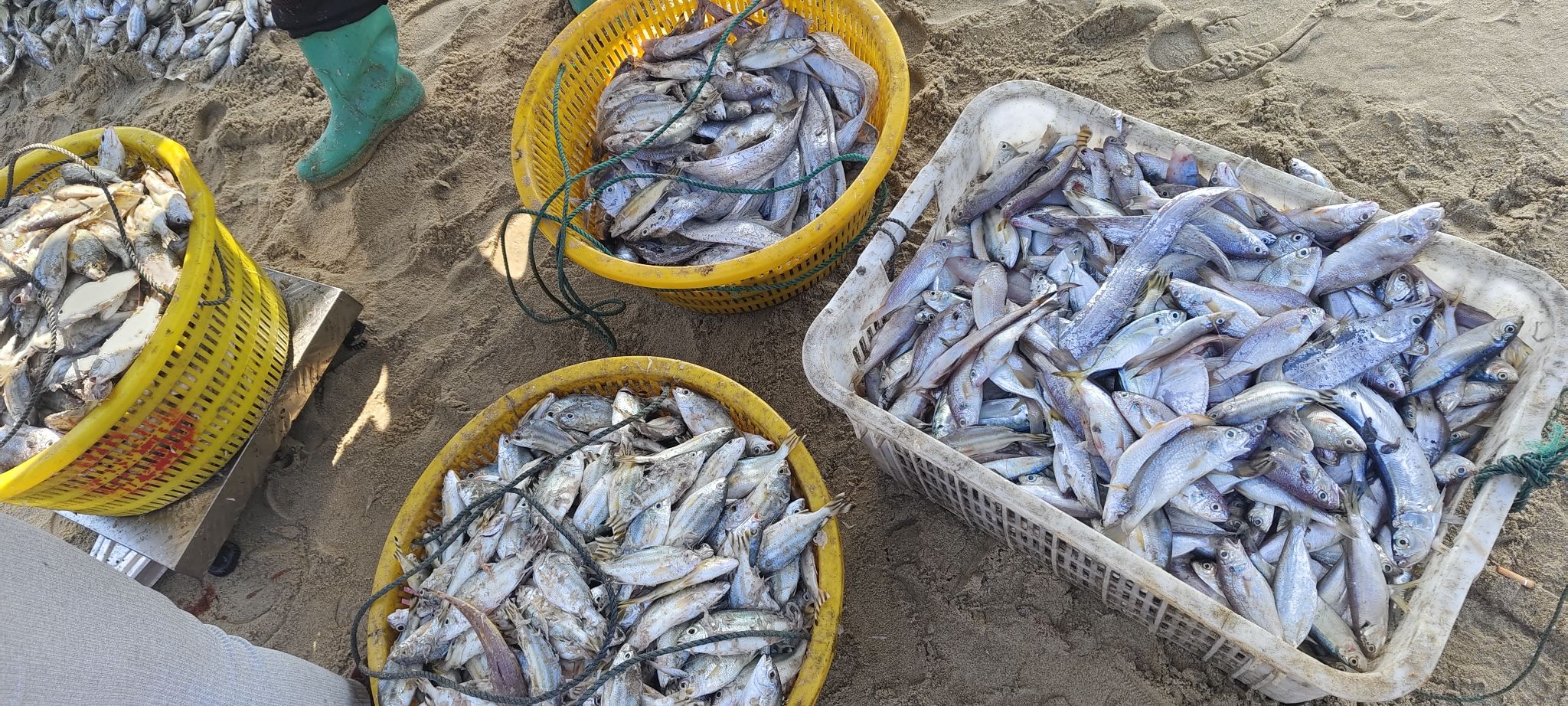 莺歌海码头