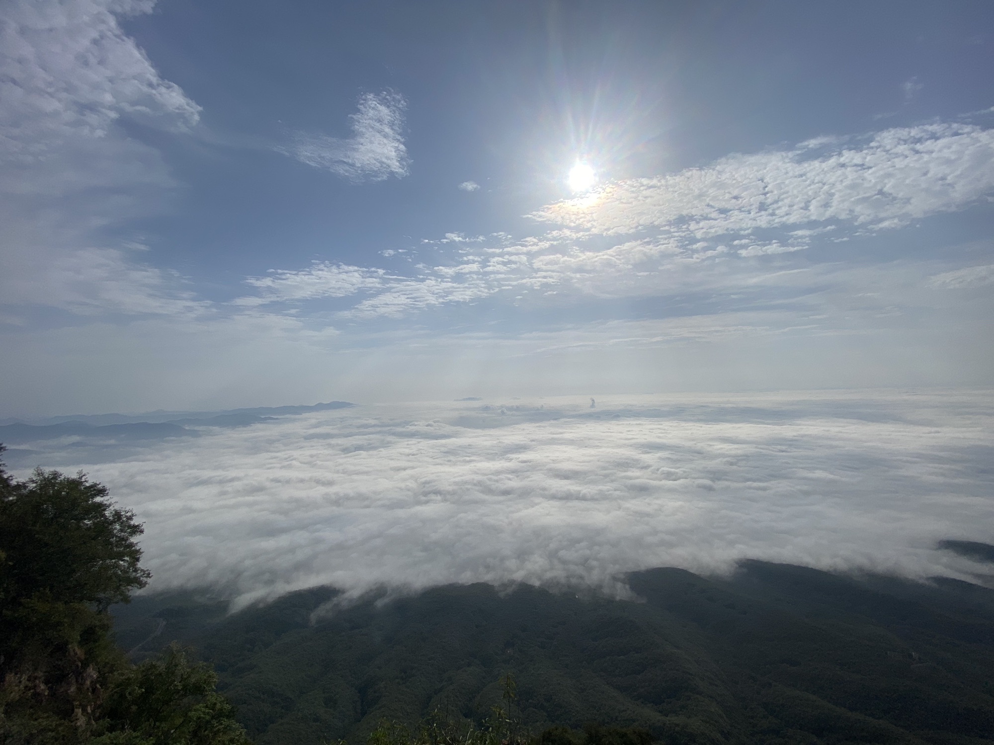 北朝阳观景台旅行图片 1