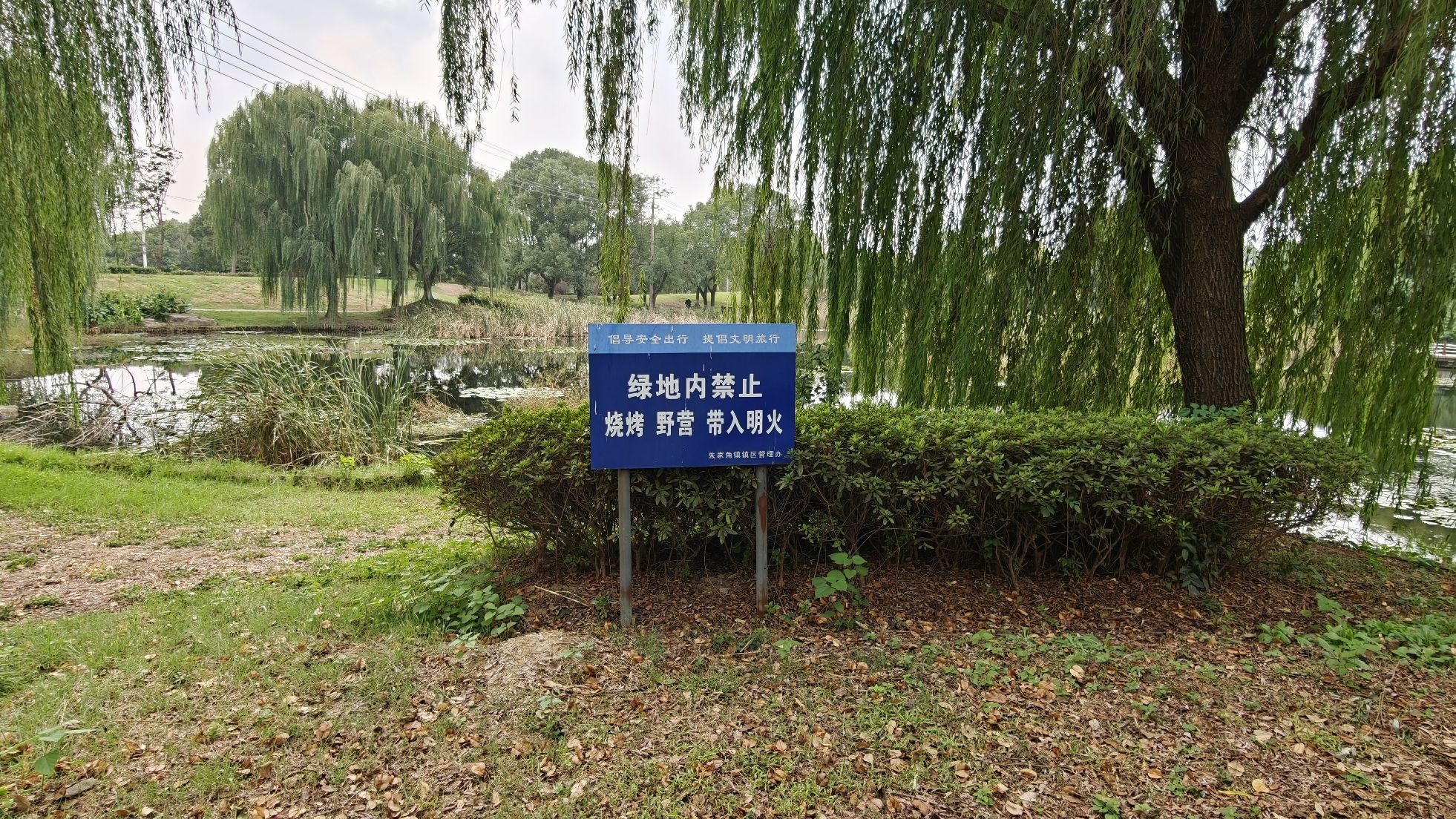 场地封面-淀山湖大道公园露营地