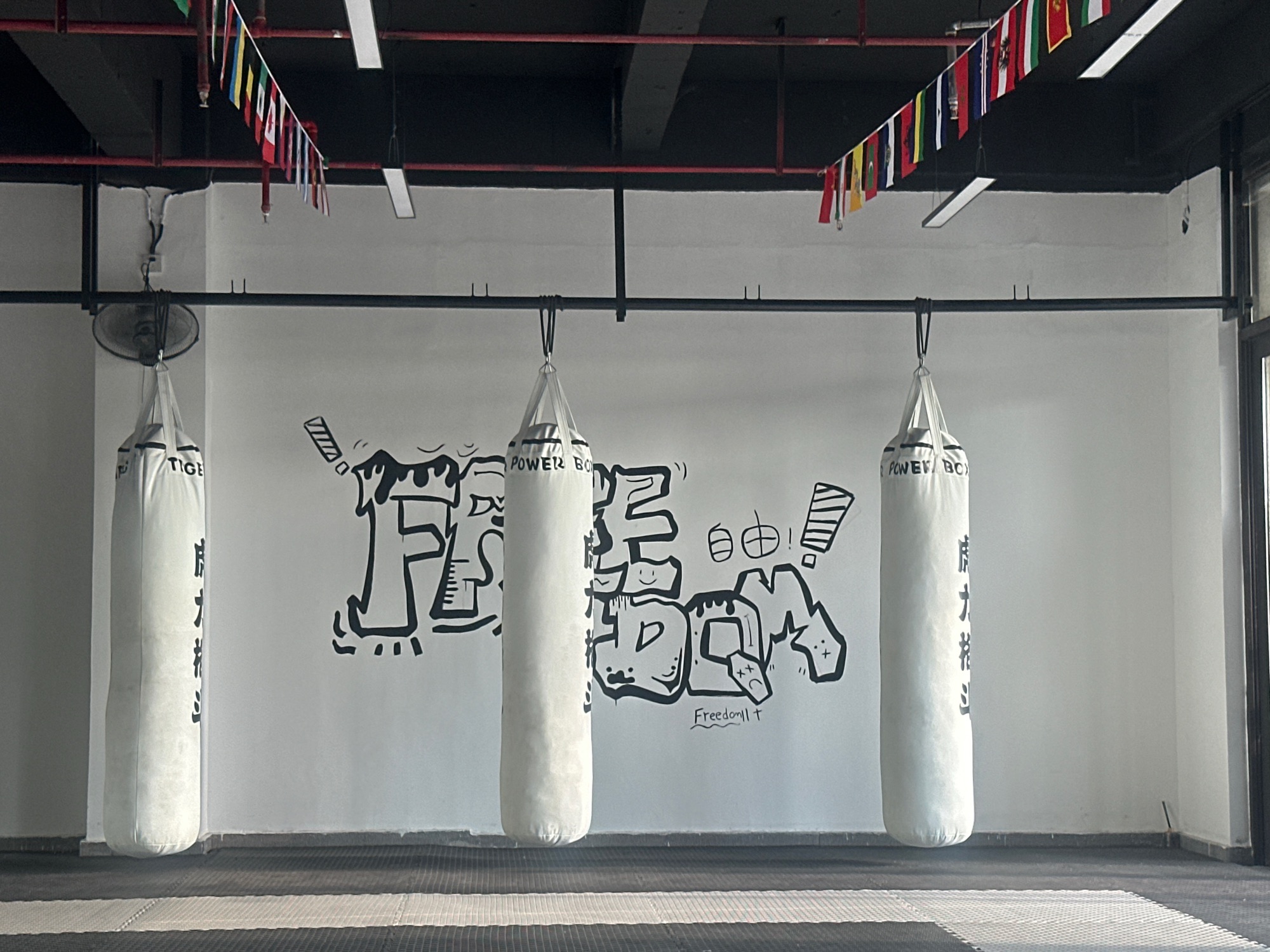 场地封面-虎力格斗