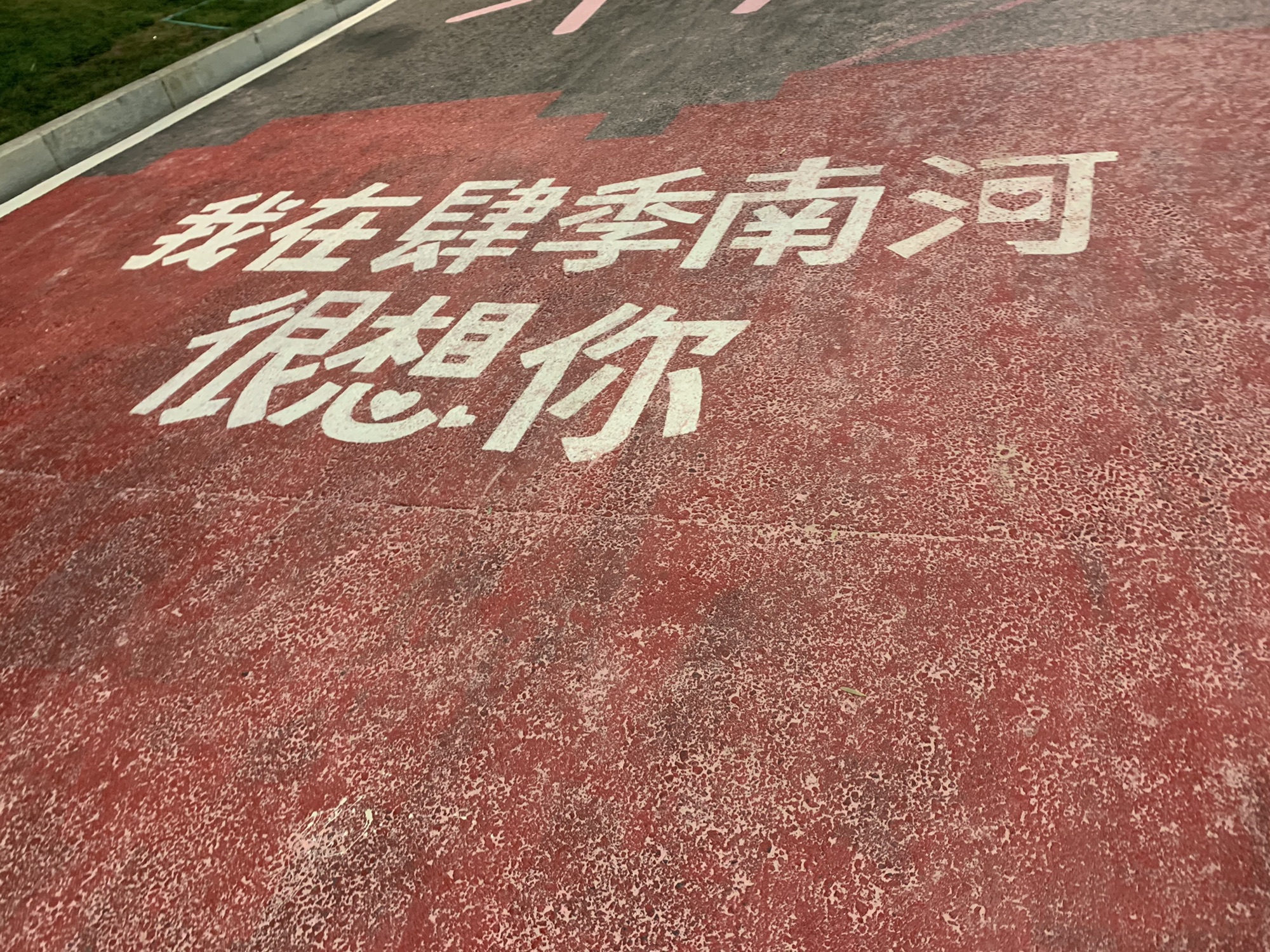 肆季南河粉色沙滩旅行图片 2